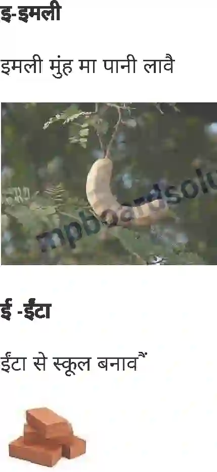 MP Board Book for Class 1 Hindi वर्णमाला Image 2