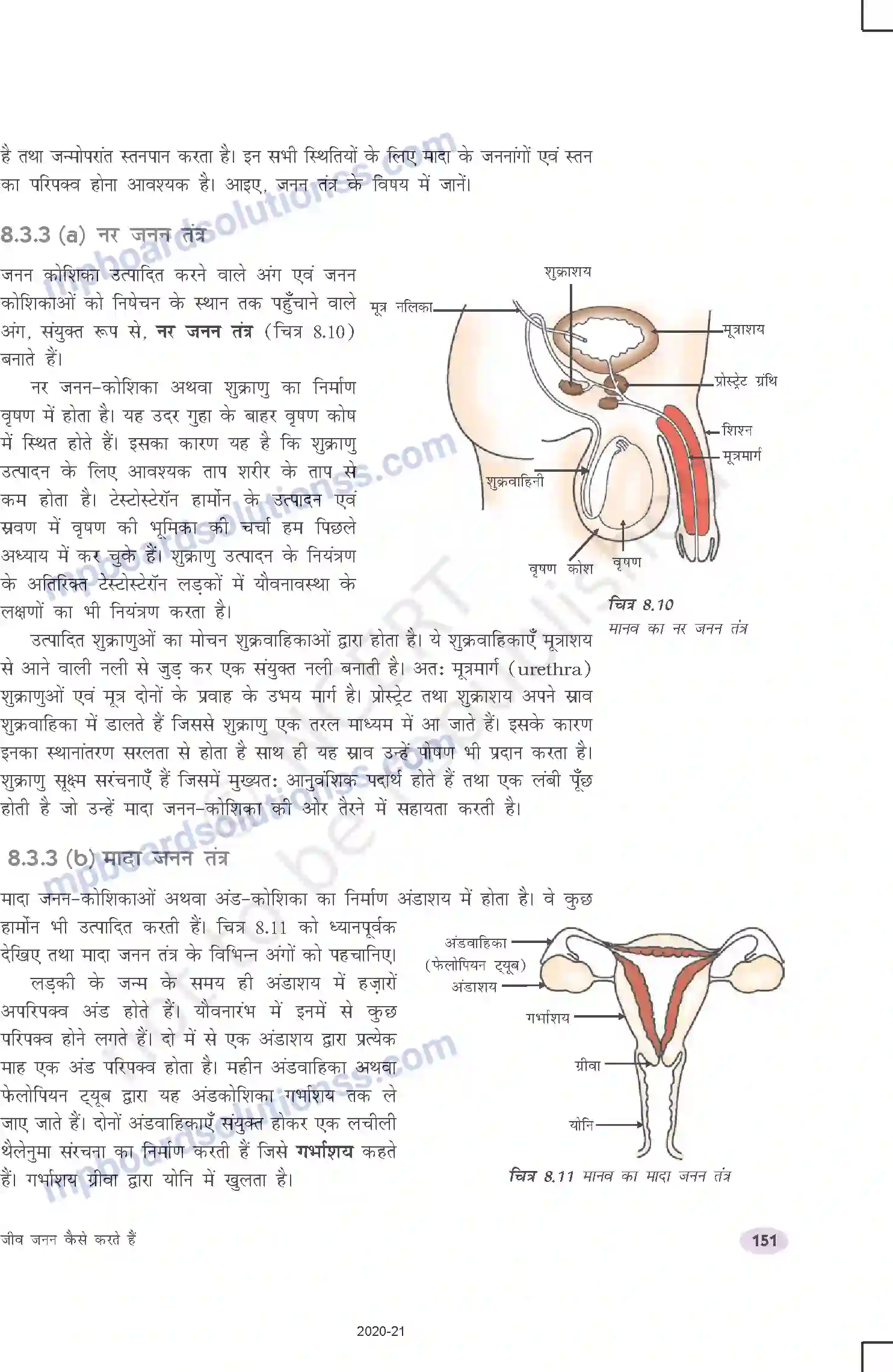 MP Board Book for Class 10 Science जीव जनन कैसे करते है Image 12