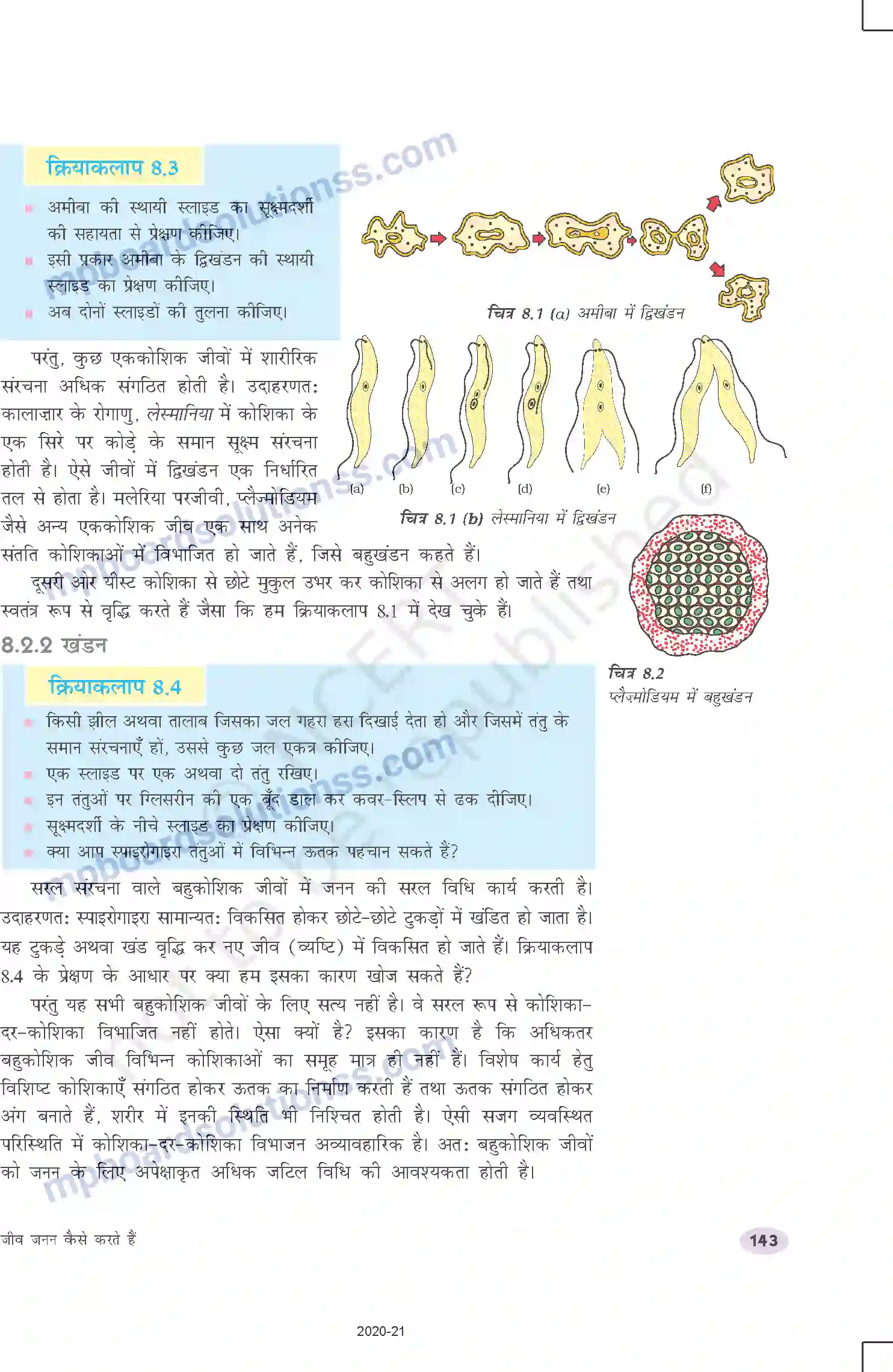MP Board Book for Class 10 Science जीव जनन कैसे करते है Image 4