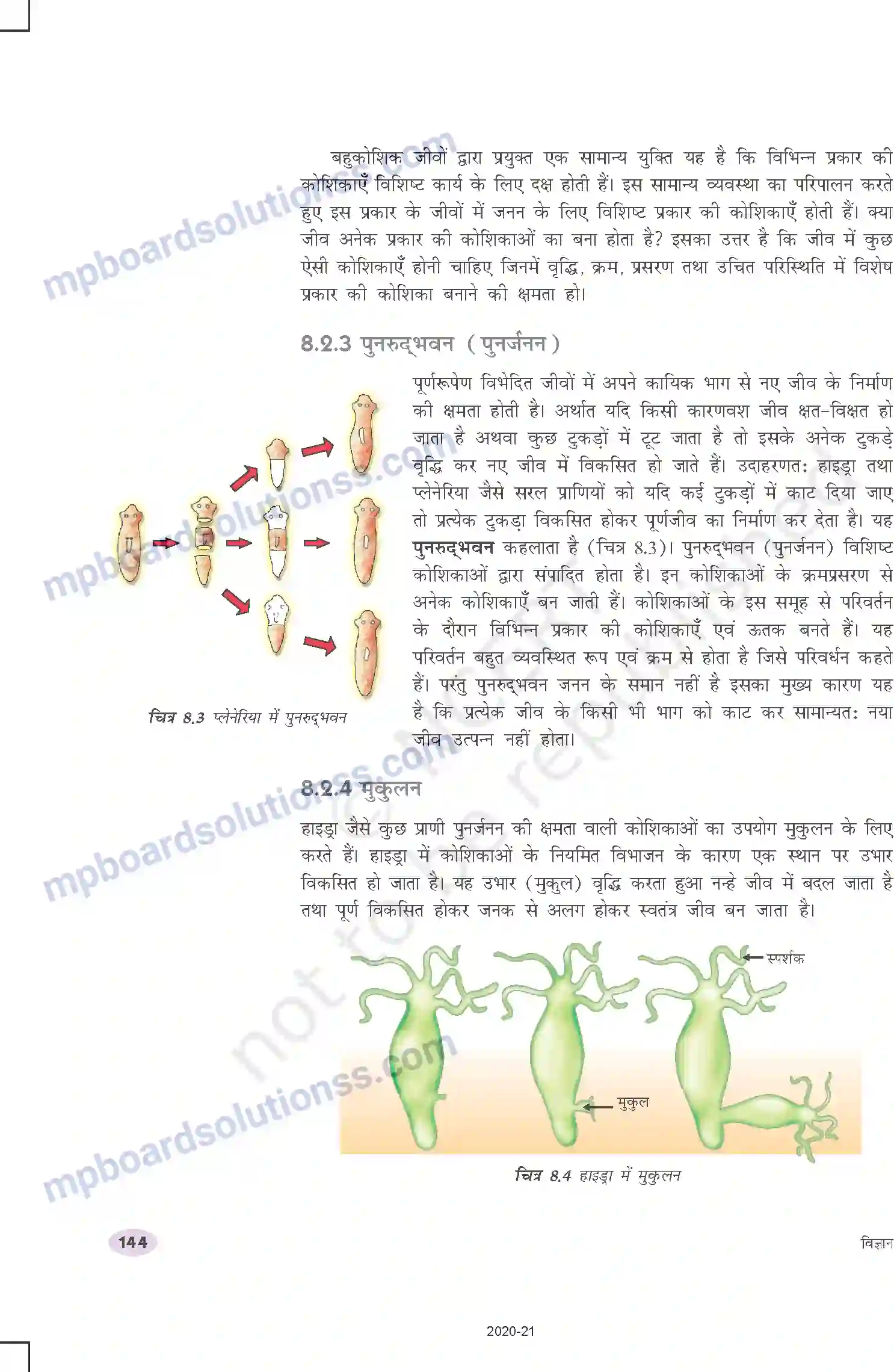 MP Board Book for Class 10 Science जीव जनन कैसे करते है Image 5