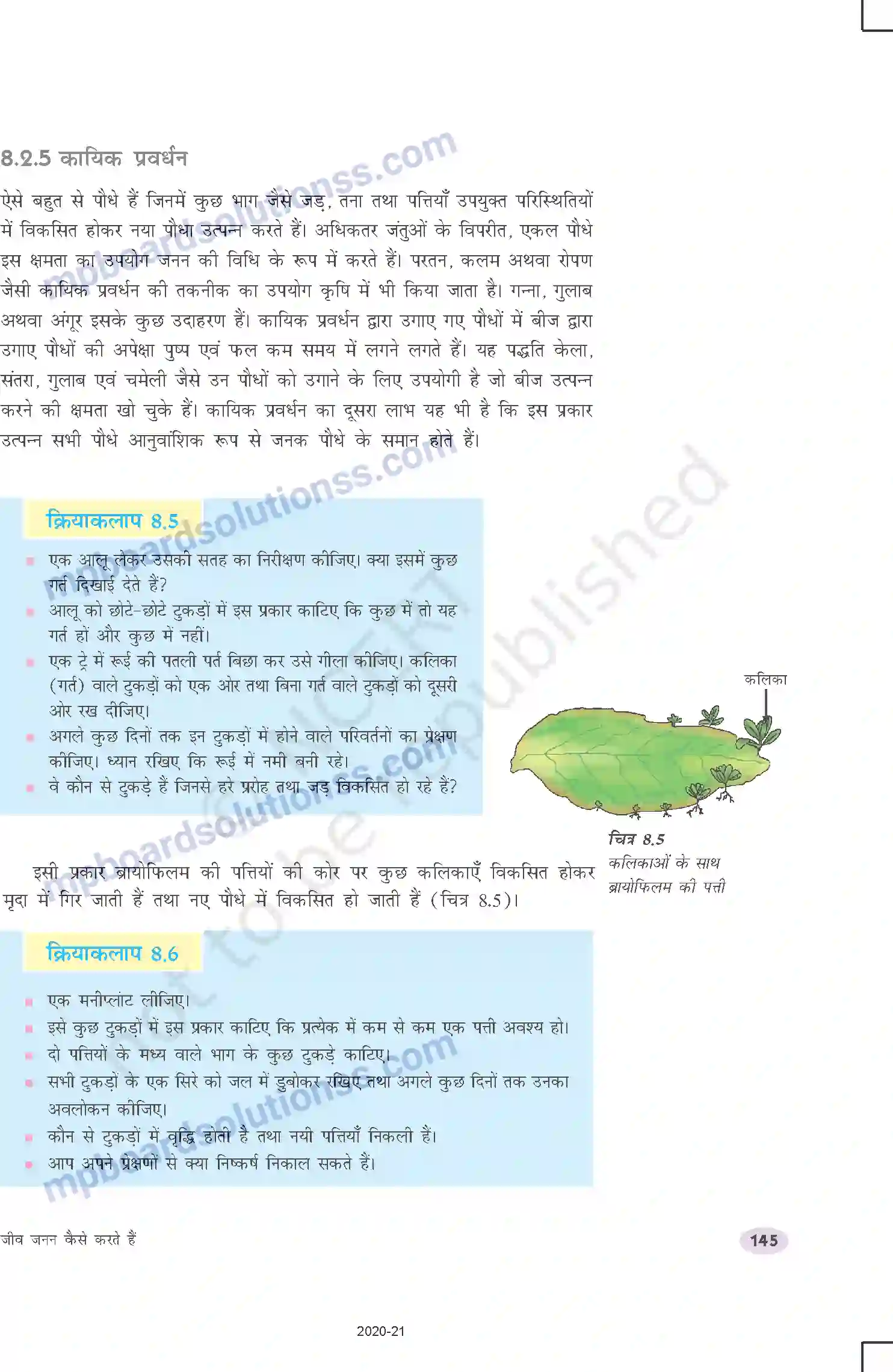 MP Board Book for Class 10 Science जीव जनन कैसे करते है Image 6