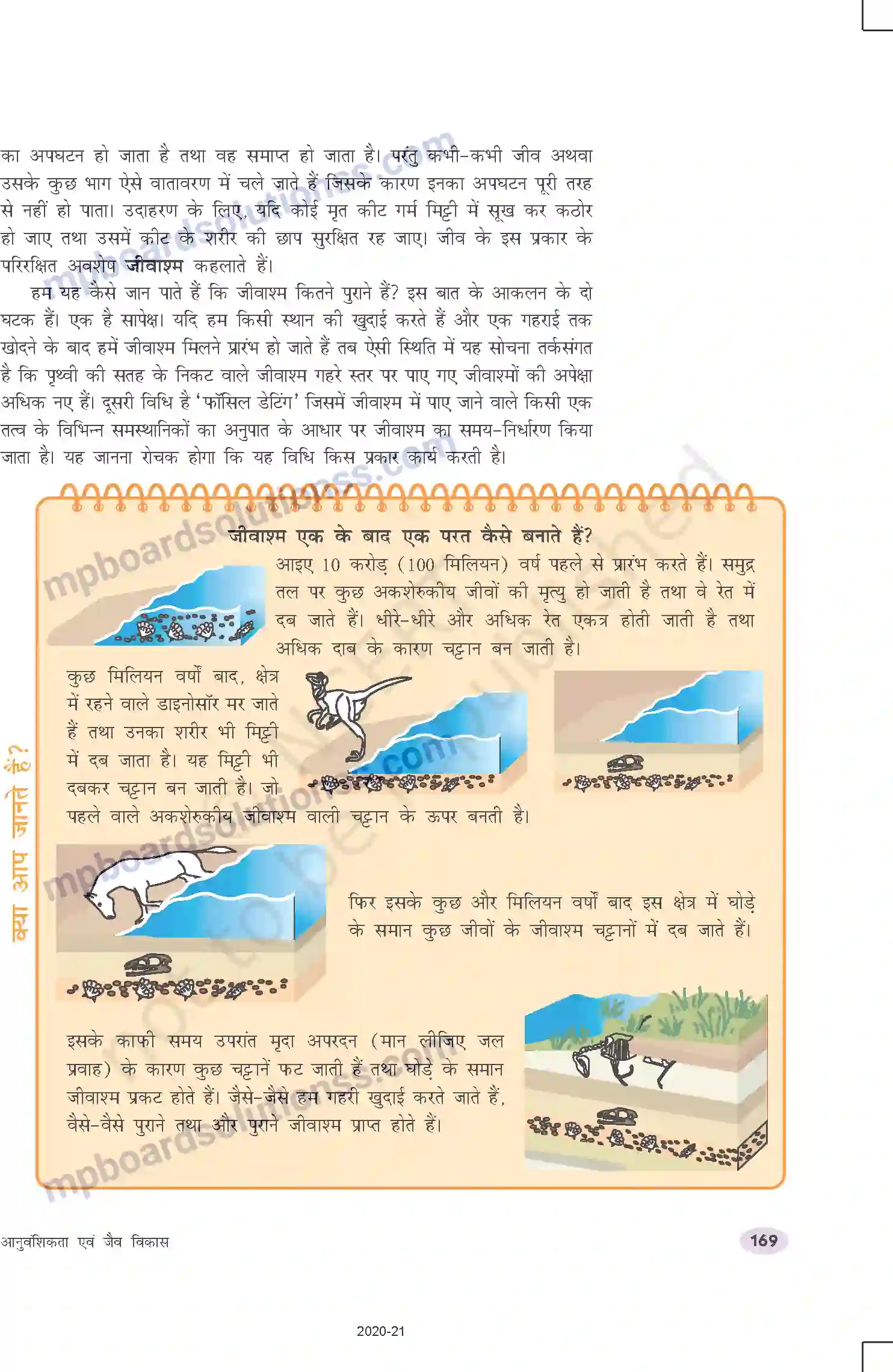 MP Board Book for Class 10 Science आनुवंशिकता एवं जैव विकास Image 14
