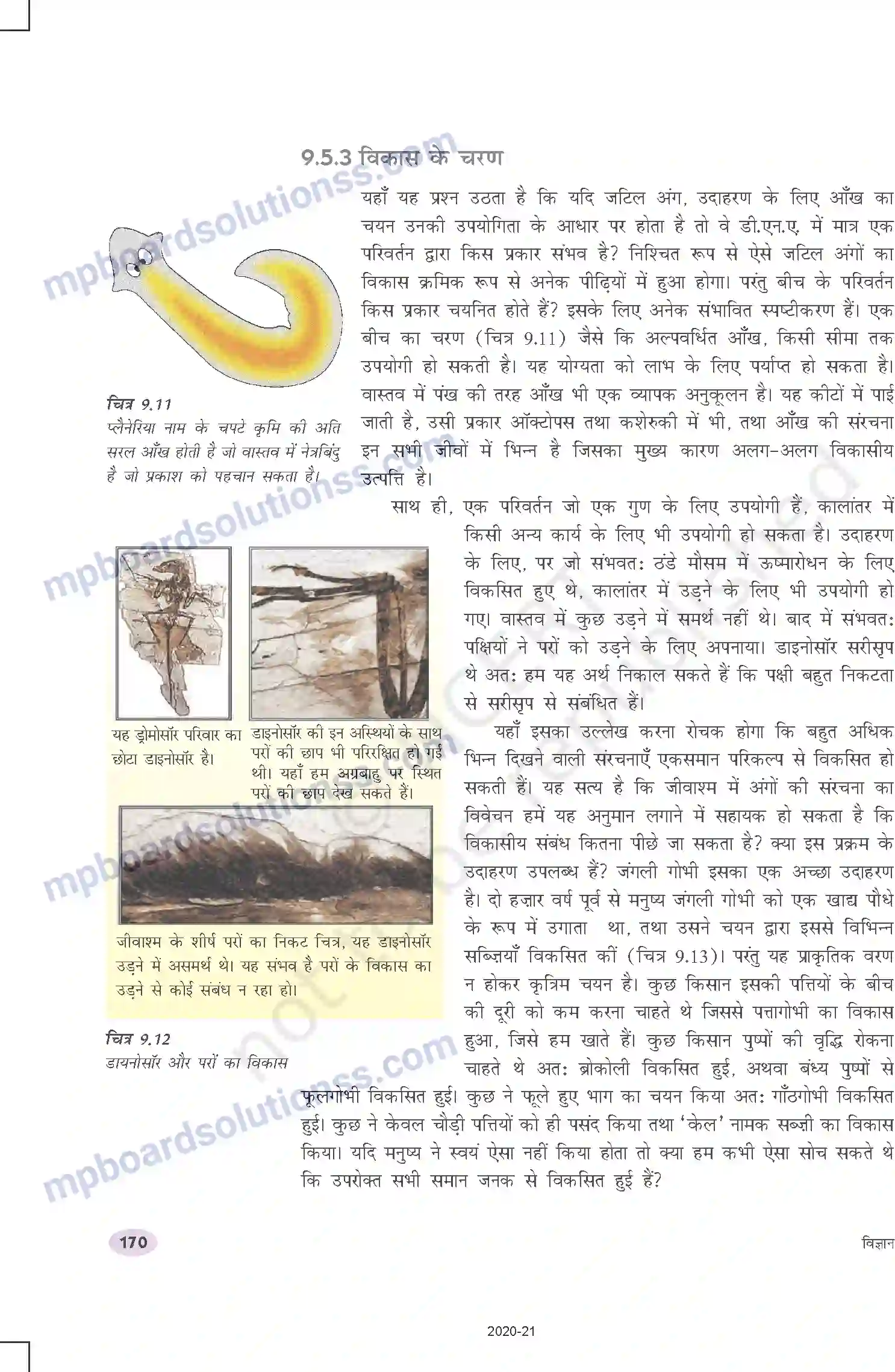 MP Board Book for Class 10 Science आनुवंशिकता एवं जैव विकास Image 15