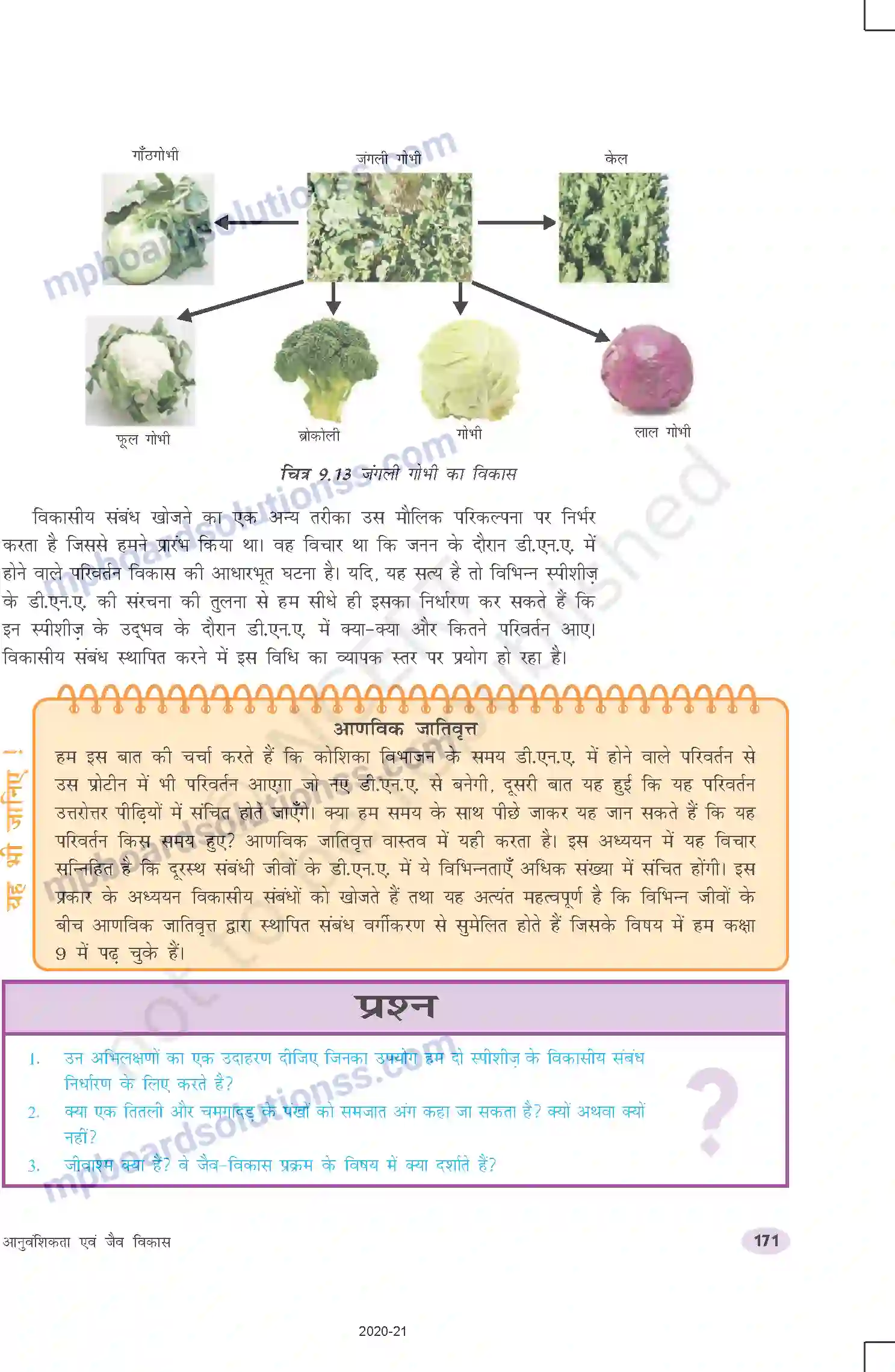 MP Board Book for Class 10 Science आनुवंशिकता एवं जैव विकास Image 16