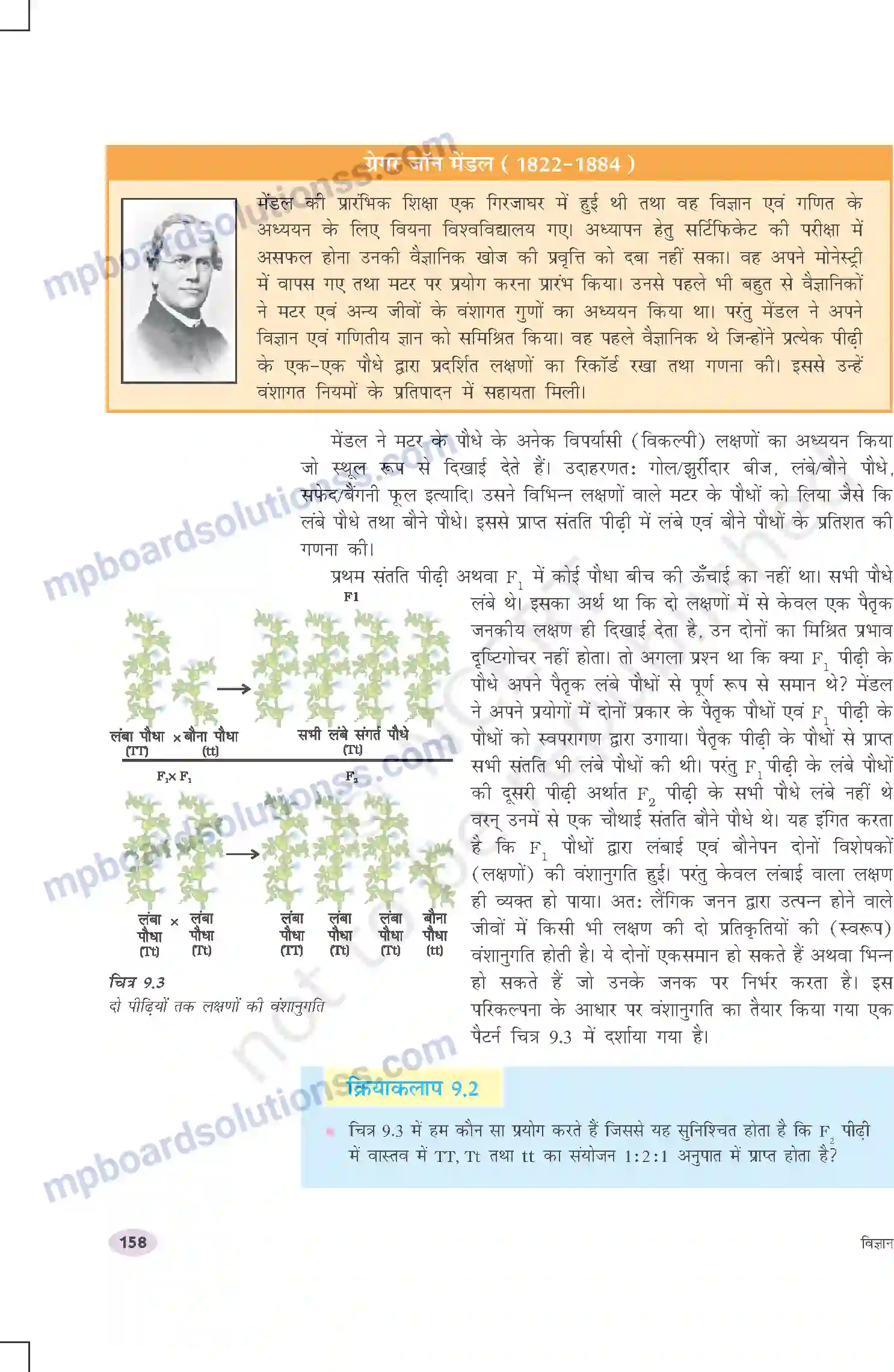 MP Board Book for Class 10 Science आनुवंशिकता एवं जैव विकास Image 3