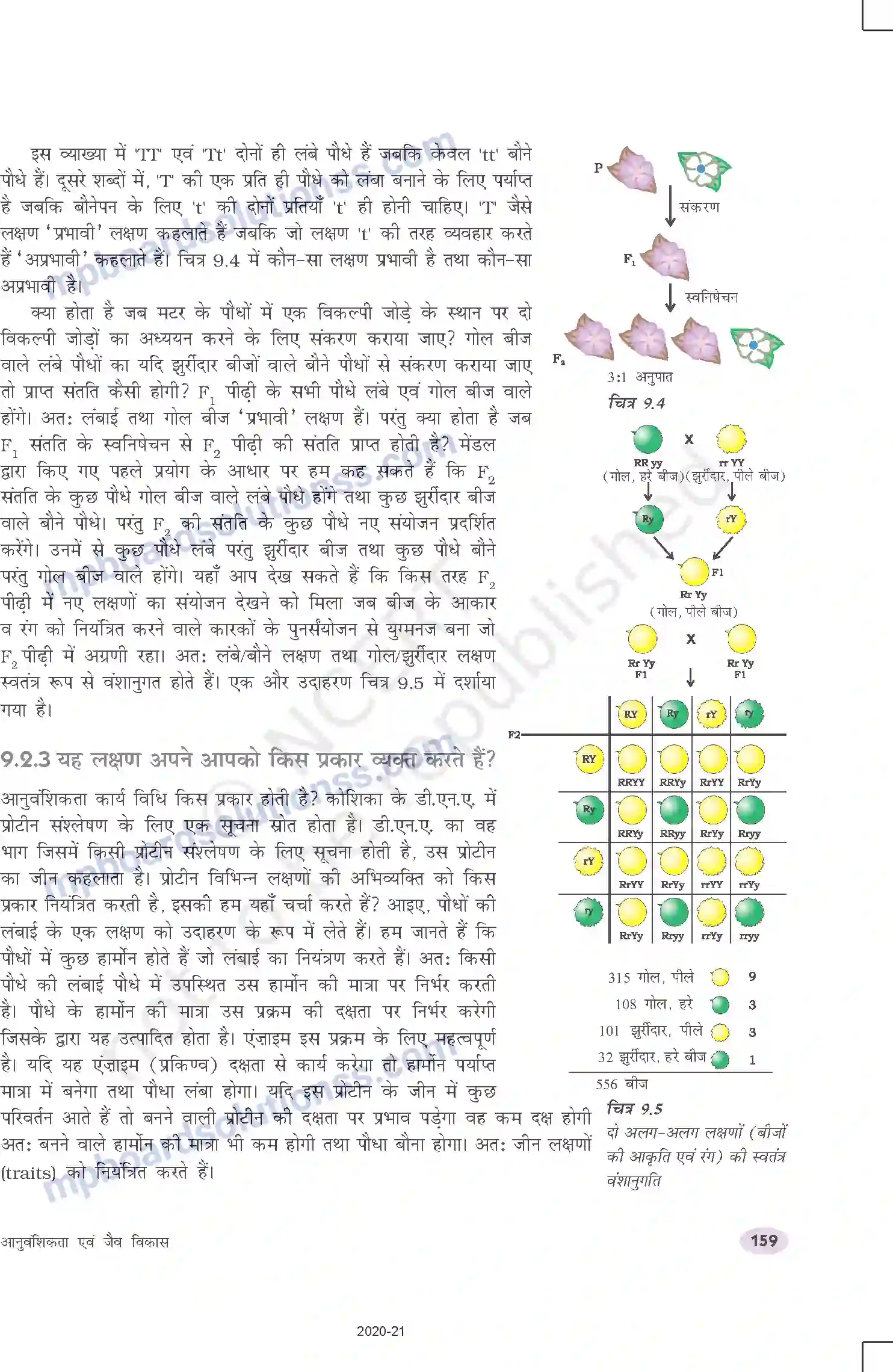 MP Board Book for Class 10 Science आनुवंशिकता एवं जैव विकास Image 4