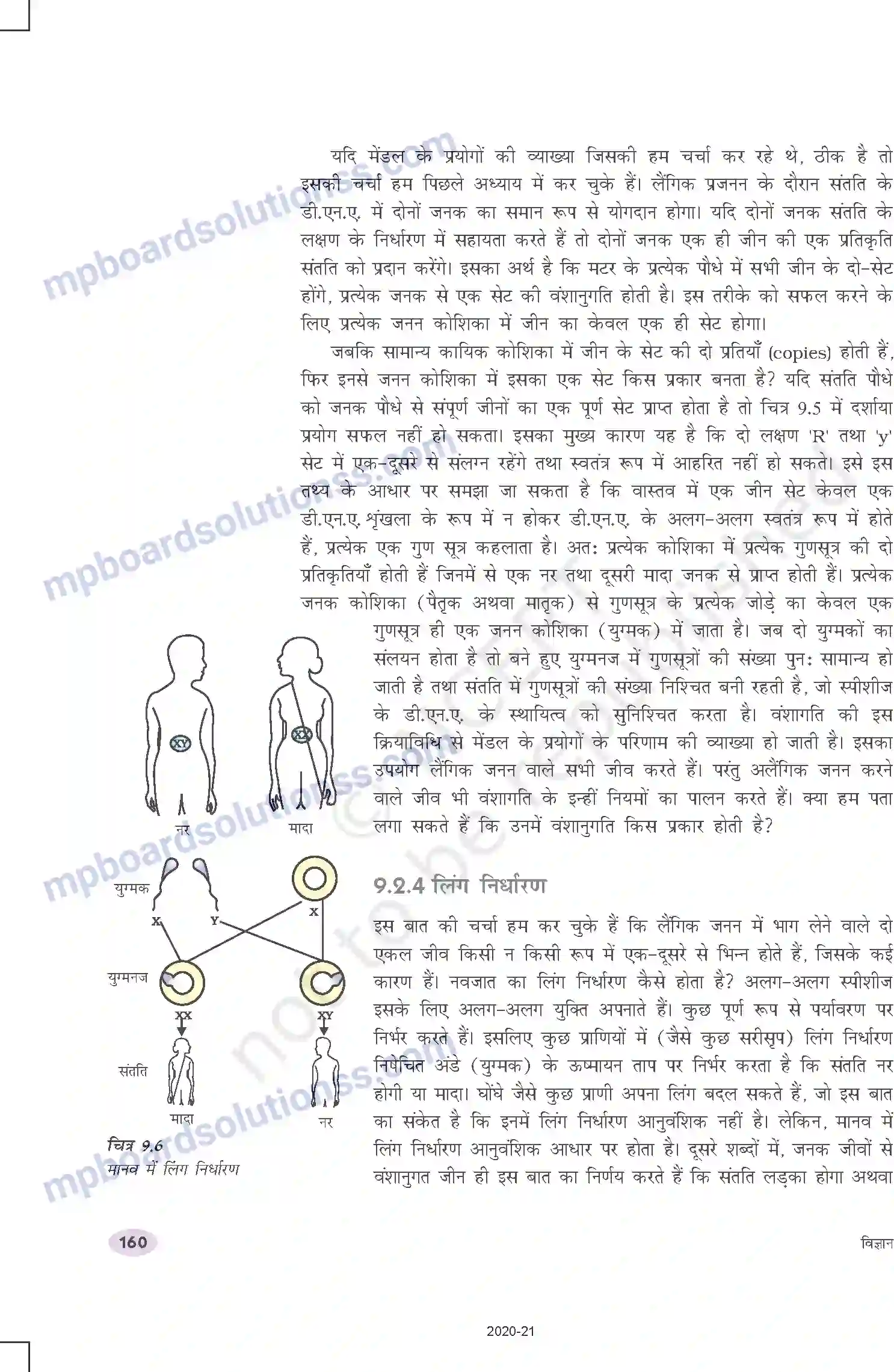 MP Board Book for Class 10 Science आनुवंशिकता एवं जैव विकास Image 5