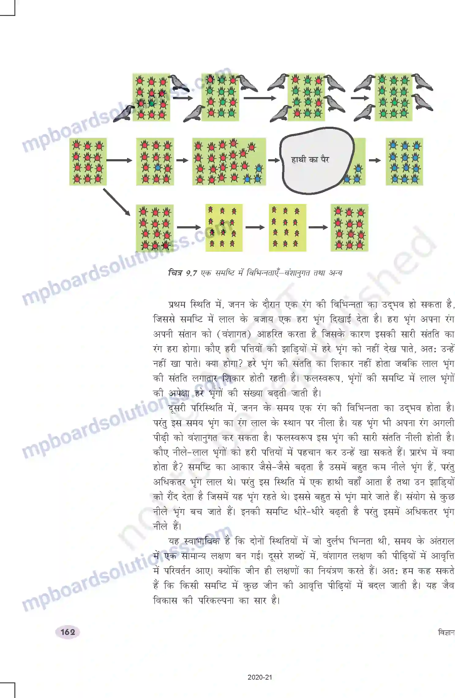 MP Board Book for Class 10 Science आनुवंशिकता एवं जैव विकास Image 7