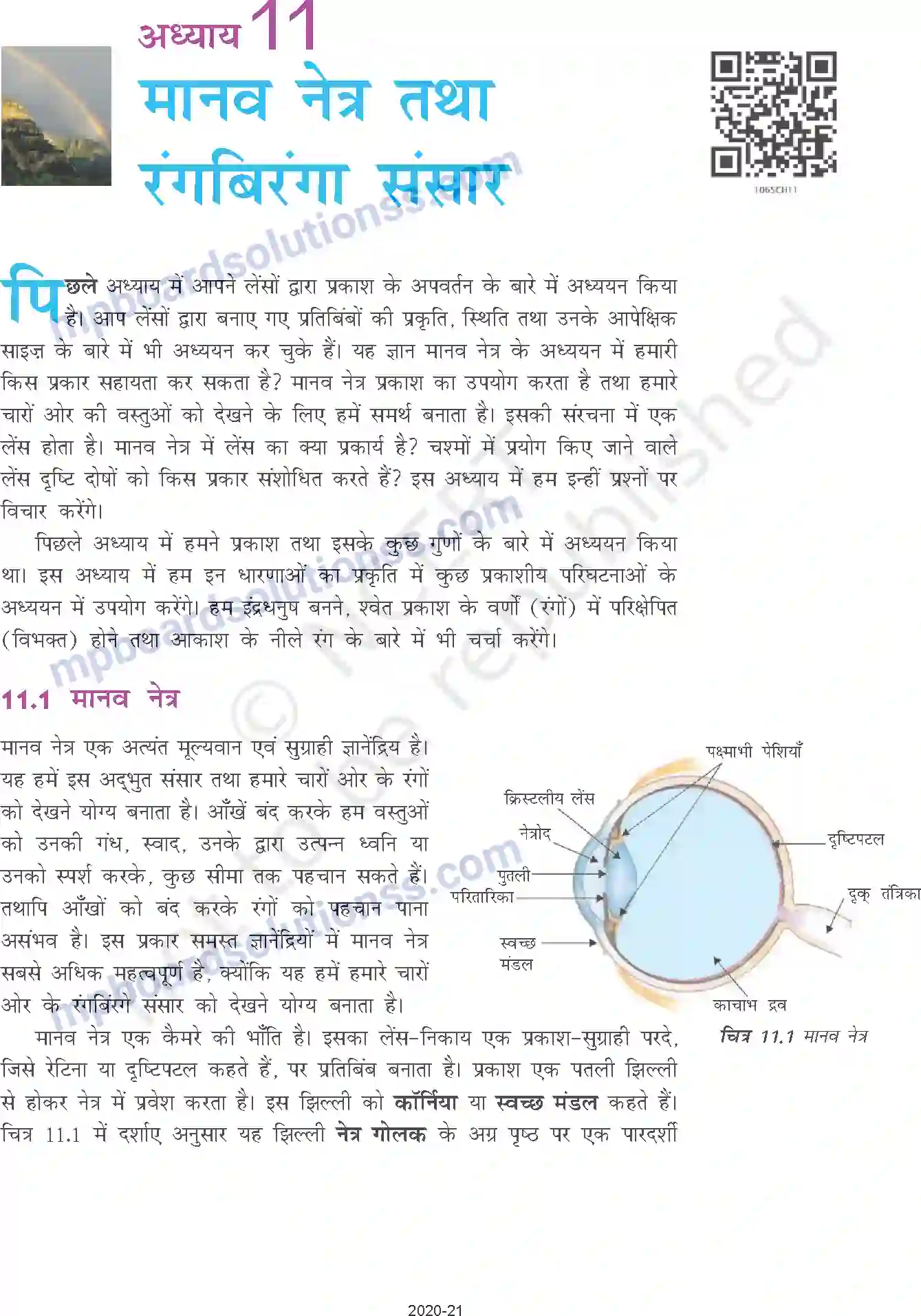 MP Board Book for Class 10 Science मानव नेत्र तथा रंगबिरंगा संसार Image 1