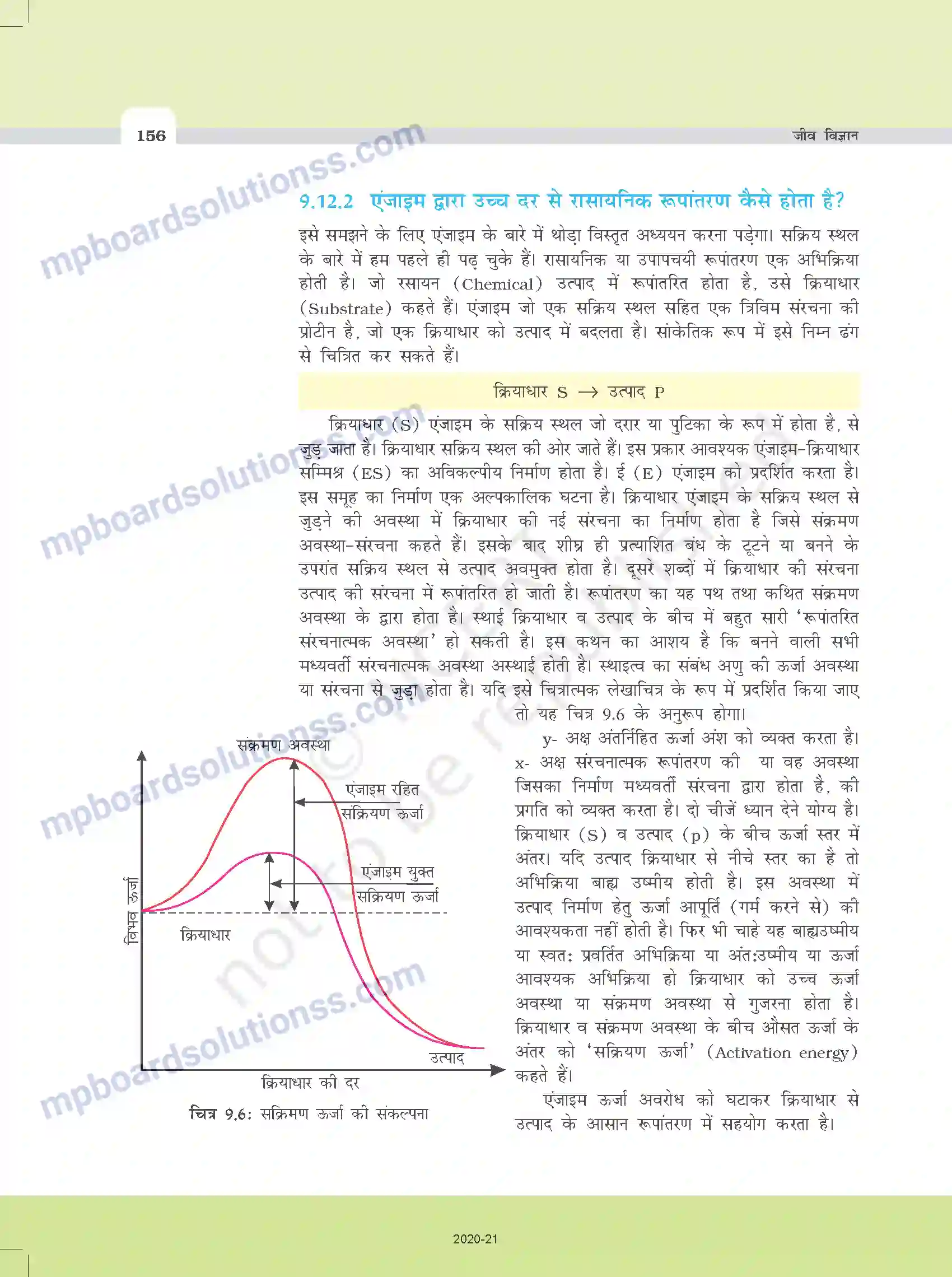 MP Board Book for Class 11 Biology जैव अणु Image 15