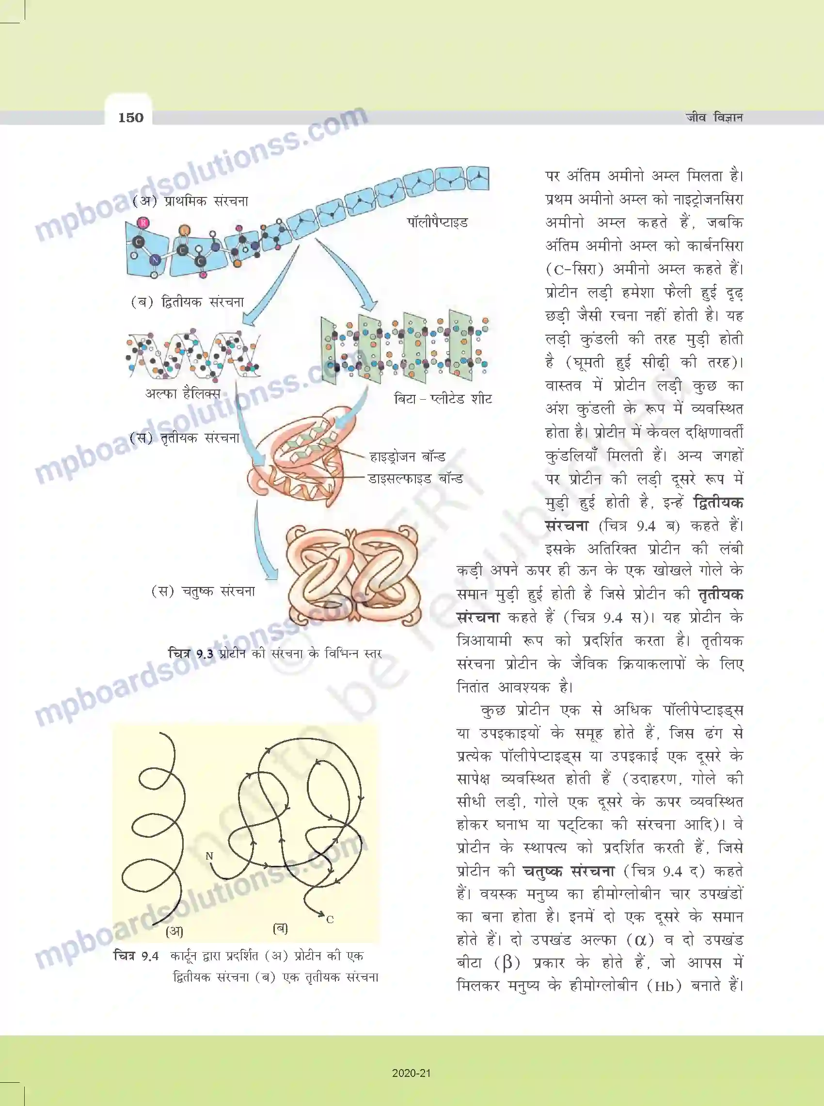 MP Board Book for Class 11 Biology जैव अणु Image 9