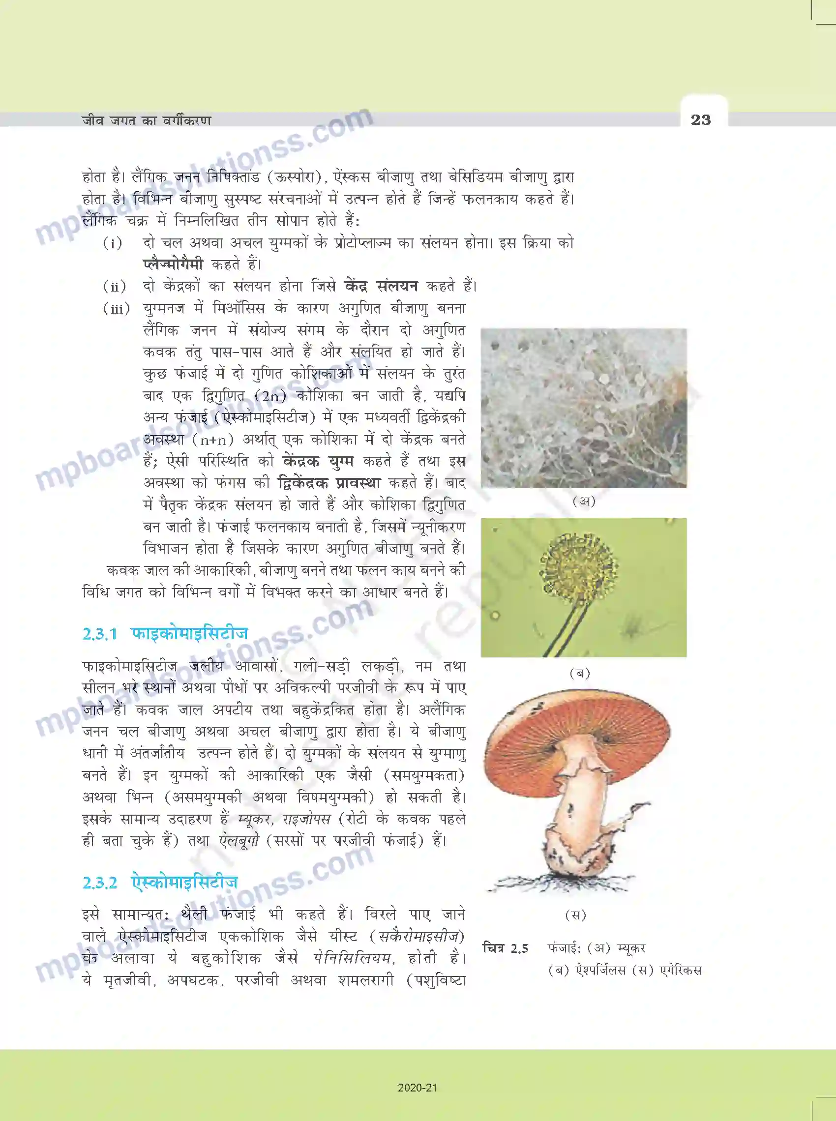 MP Board Book for Class 11 Biology जीव जगत का वर्गीकरण Image 8