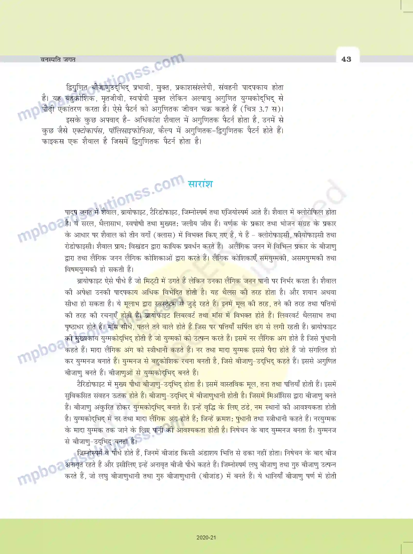 MP Board Book for Class 11 Biology वनस्पति जगत Image 15