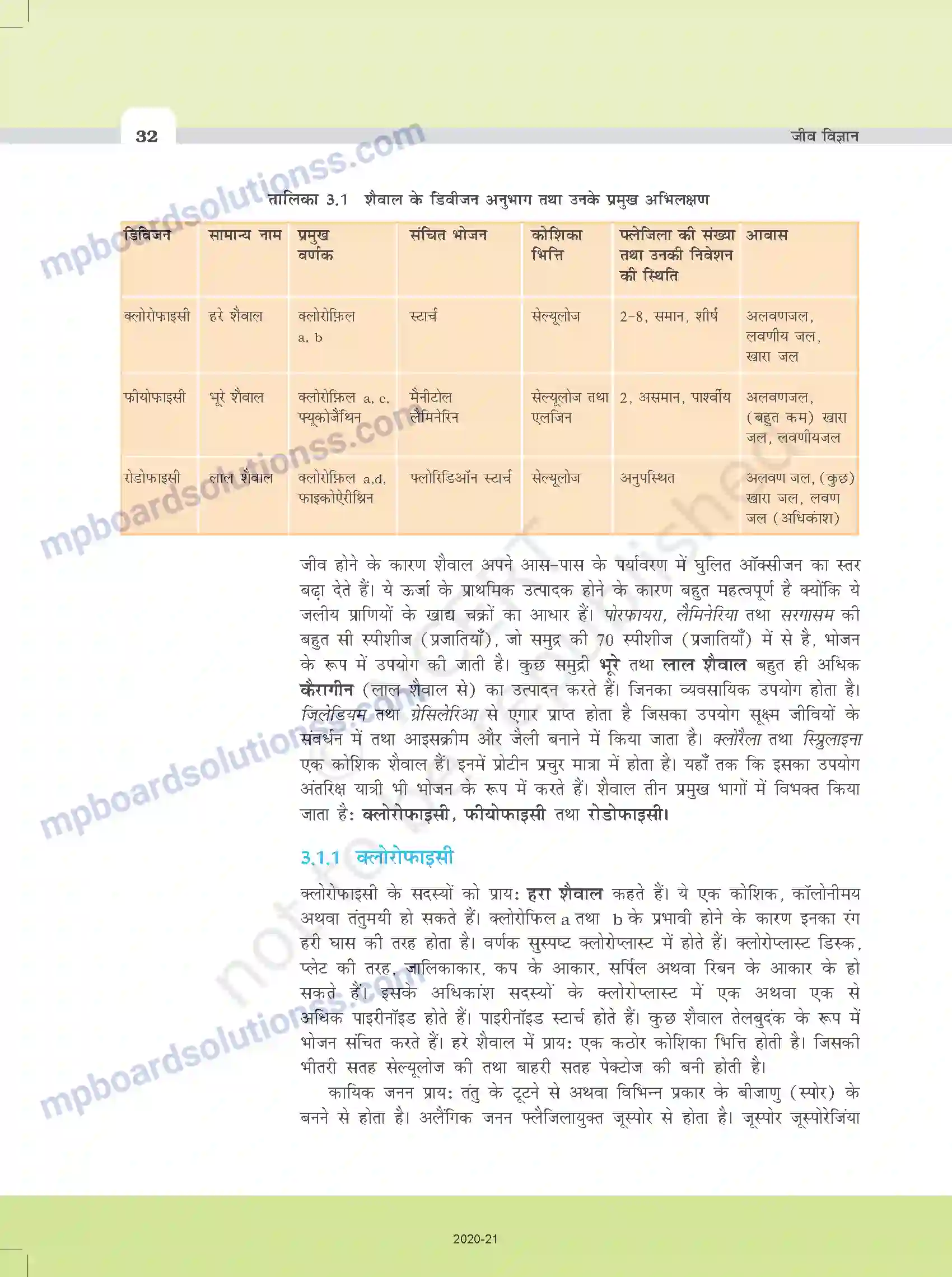 MP Board Book for Class 11 Biology वनस्पति जगत Image 4