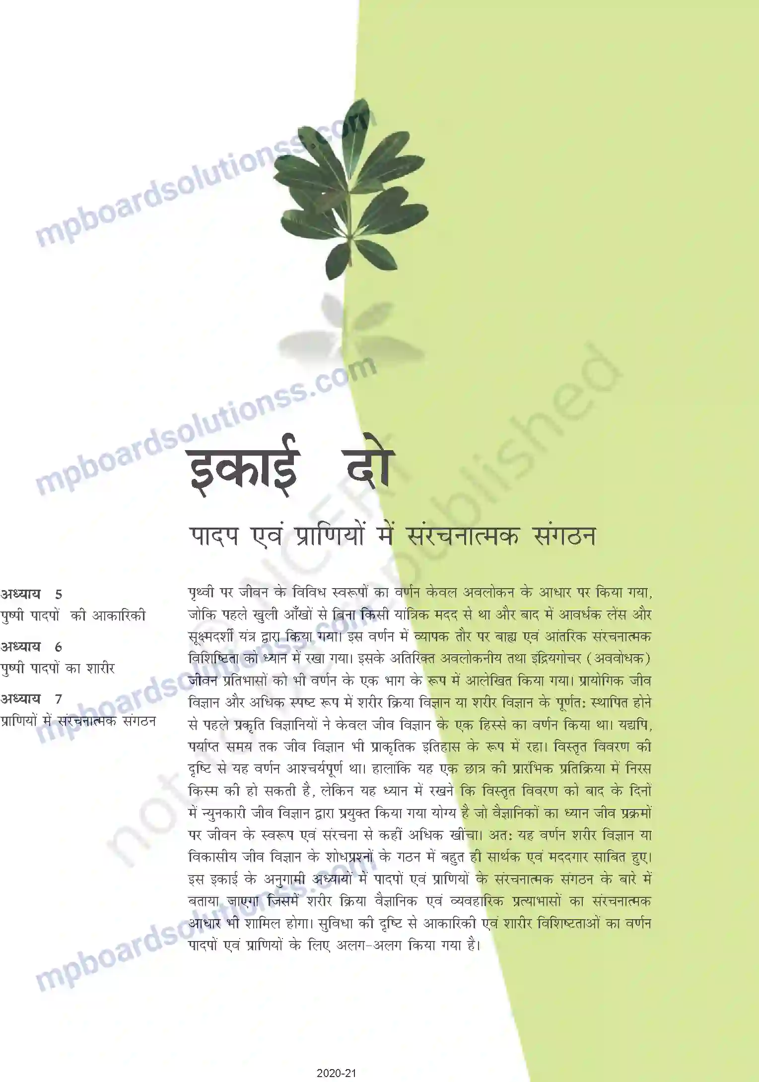MP Board Book for Class 11 Biology पुष्पी पादपों की आकारिकी Image 1