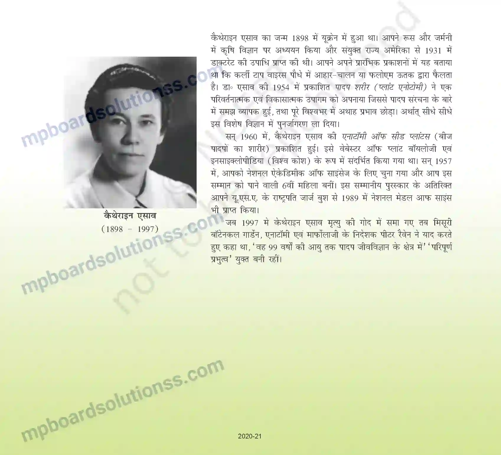 MP Board Book for Class 11 Biology पुष्पी पादपों की आकारिकी Image 2