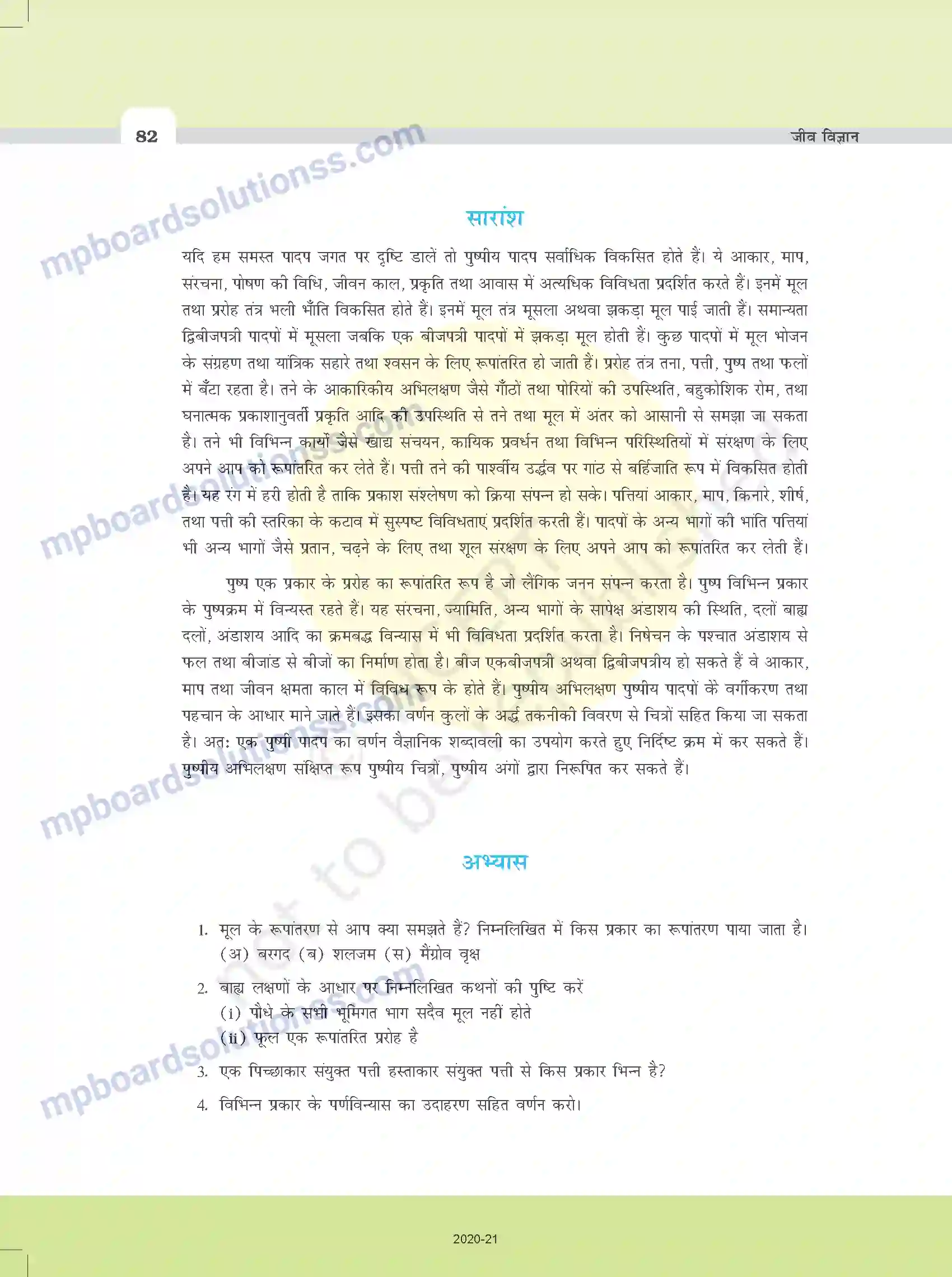MP Board Book for Class 11 Biology पुष्पी पादपों की आकारिकी Image 20