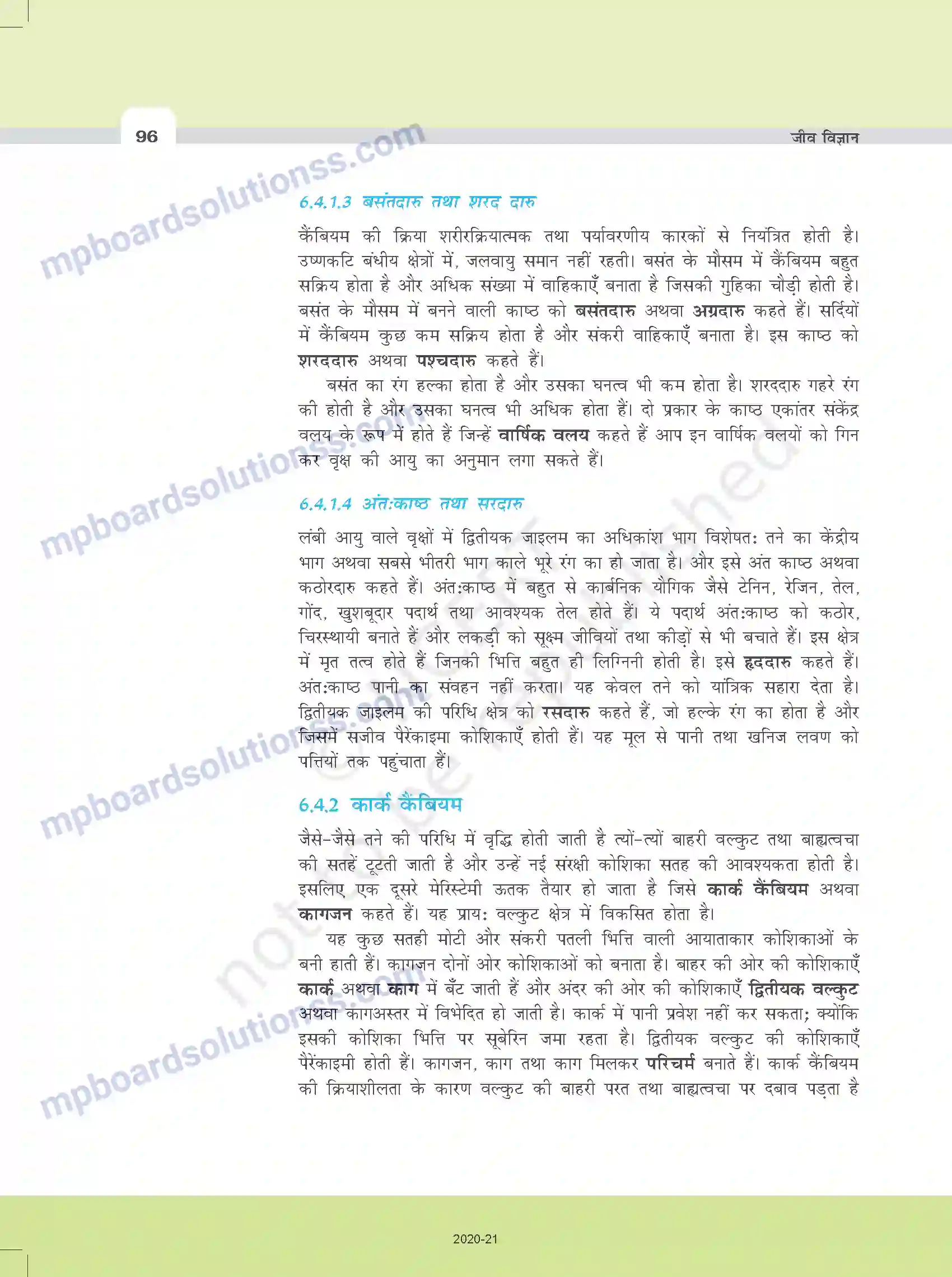 MP Board Book for Class 11 Biology पुष्पी पादपों का शारीर Image 13