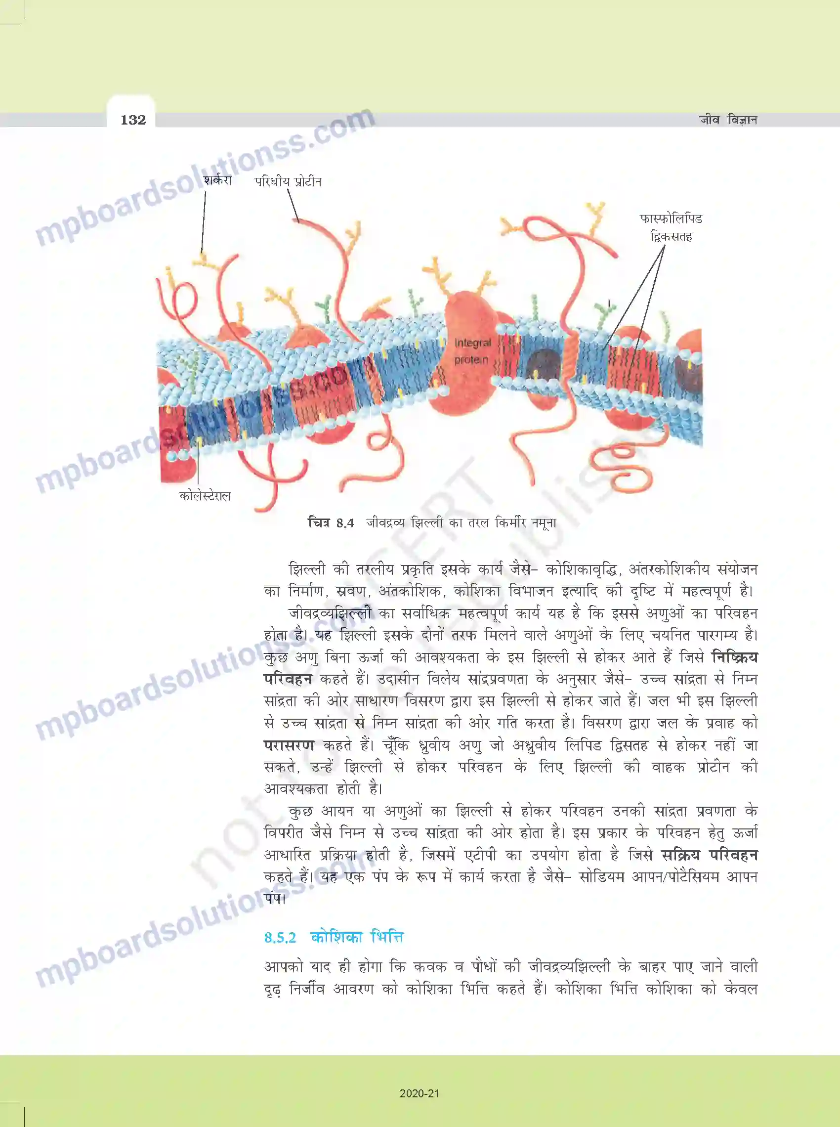 MP Board Book for Class 11 Biology कोशिका - जीवन की इकाई Image 10