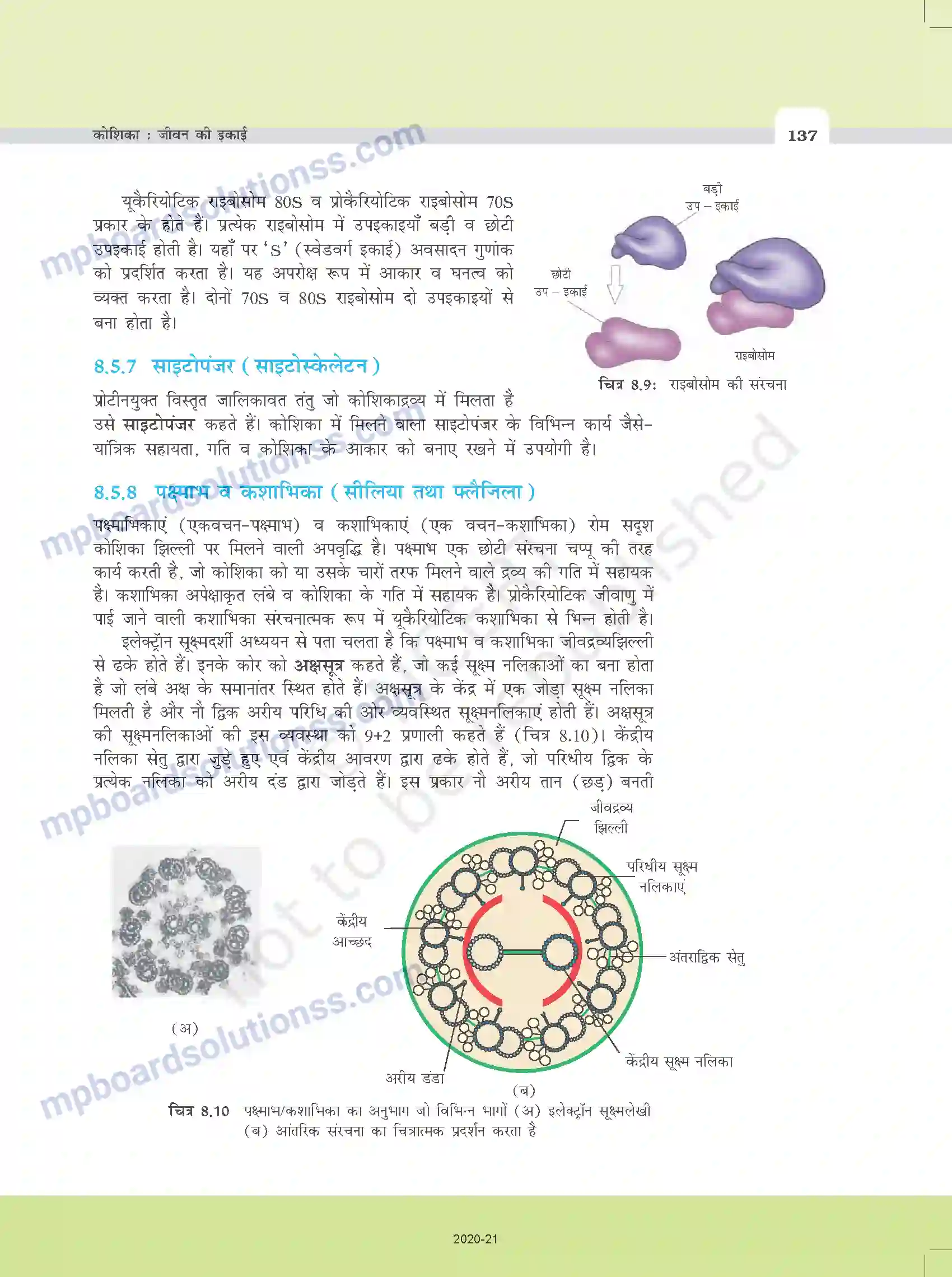 MP Board Book for Class 11 Biology कोशिका - जीवन की इकाई Image 15