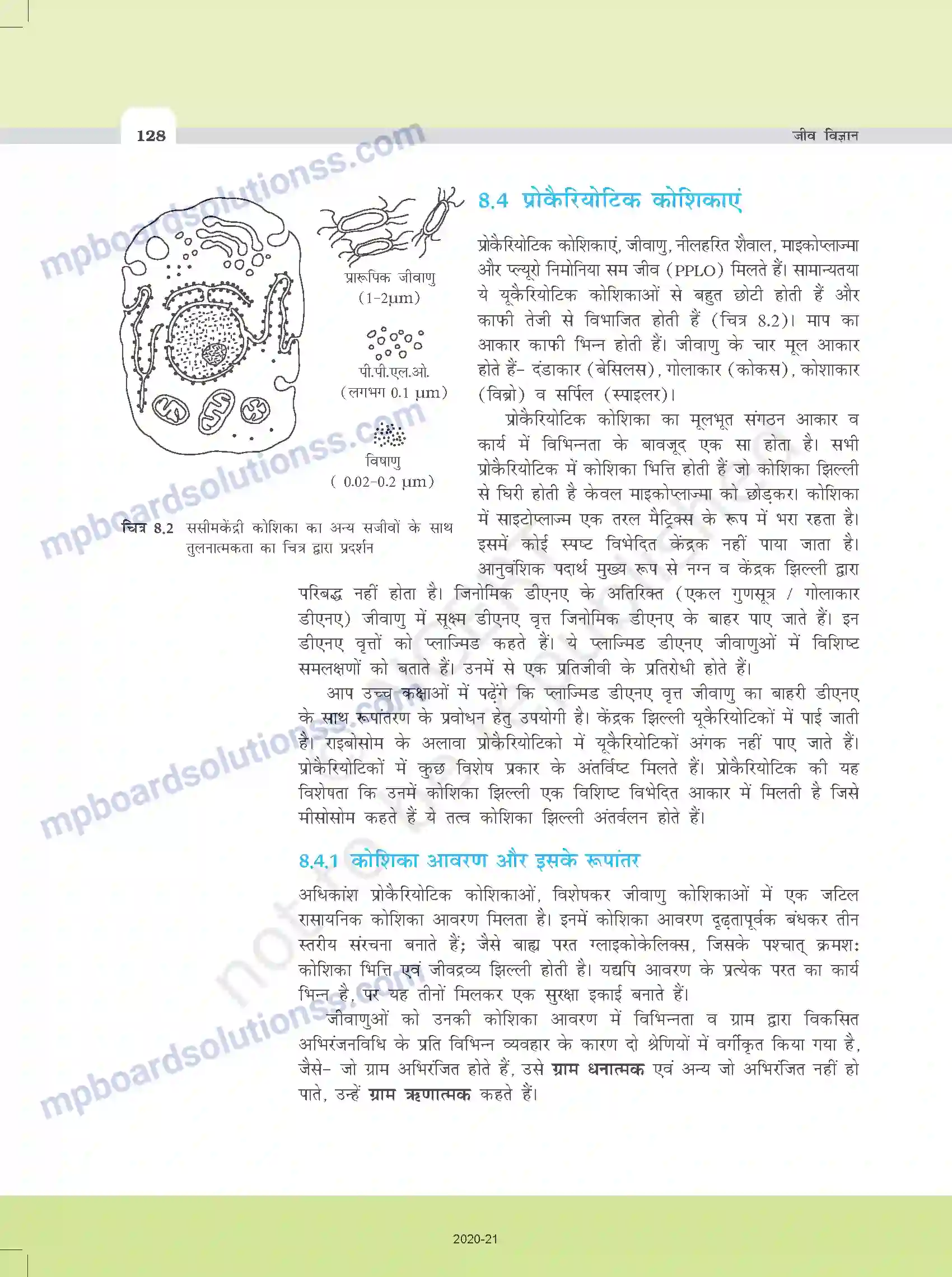 MP Board Book for Class 11 Biology कोशिका - जीवन की इकाई Image 6