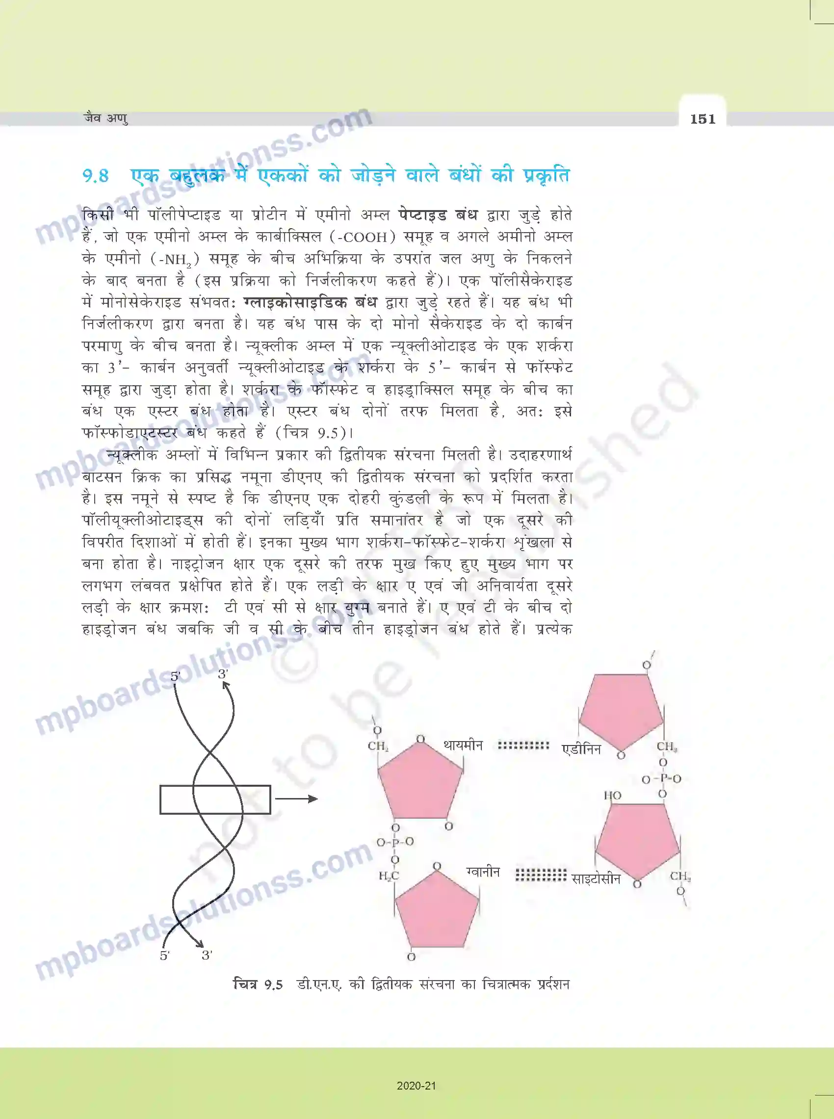 MP Board Book for Class 11 Biology जैव-अणु Image 10