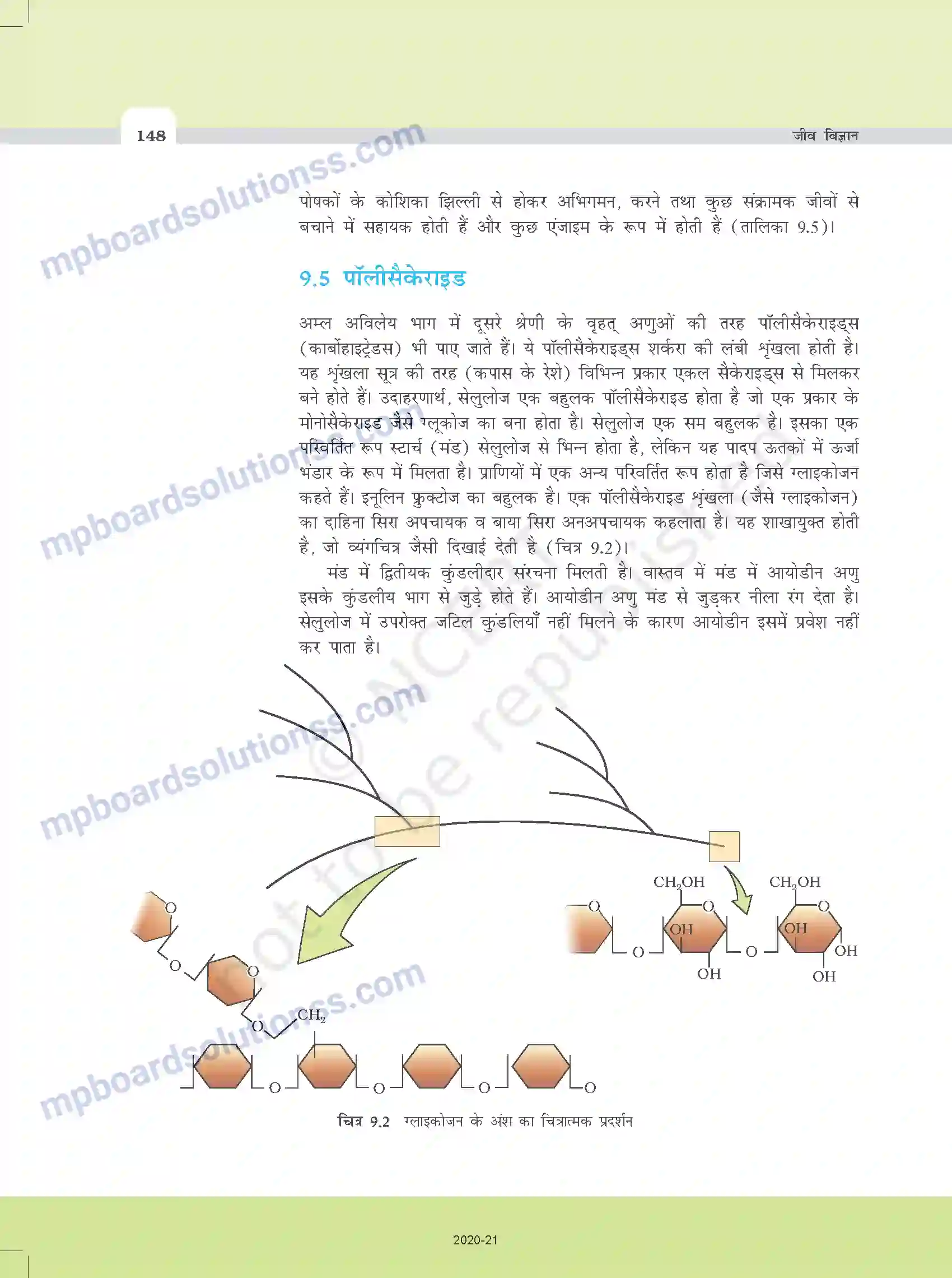 MP Board Book for Class 11 Biology जैव-अणु Image 7