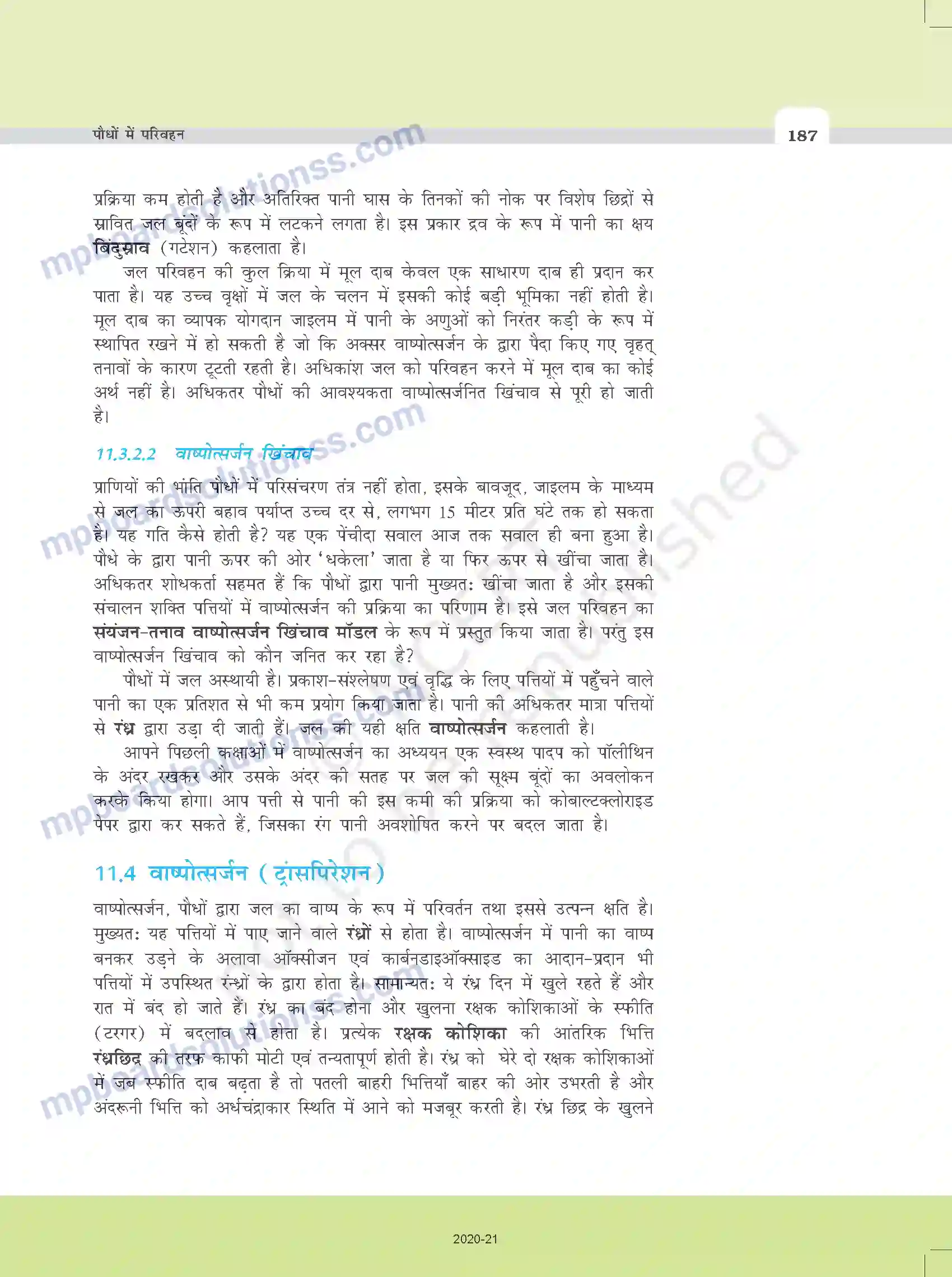 MP Board Book for Class 11 Biology पौधों में परिवहन Image 15