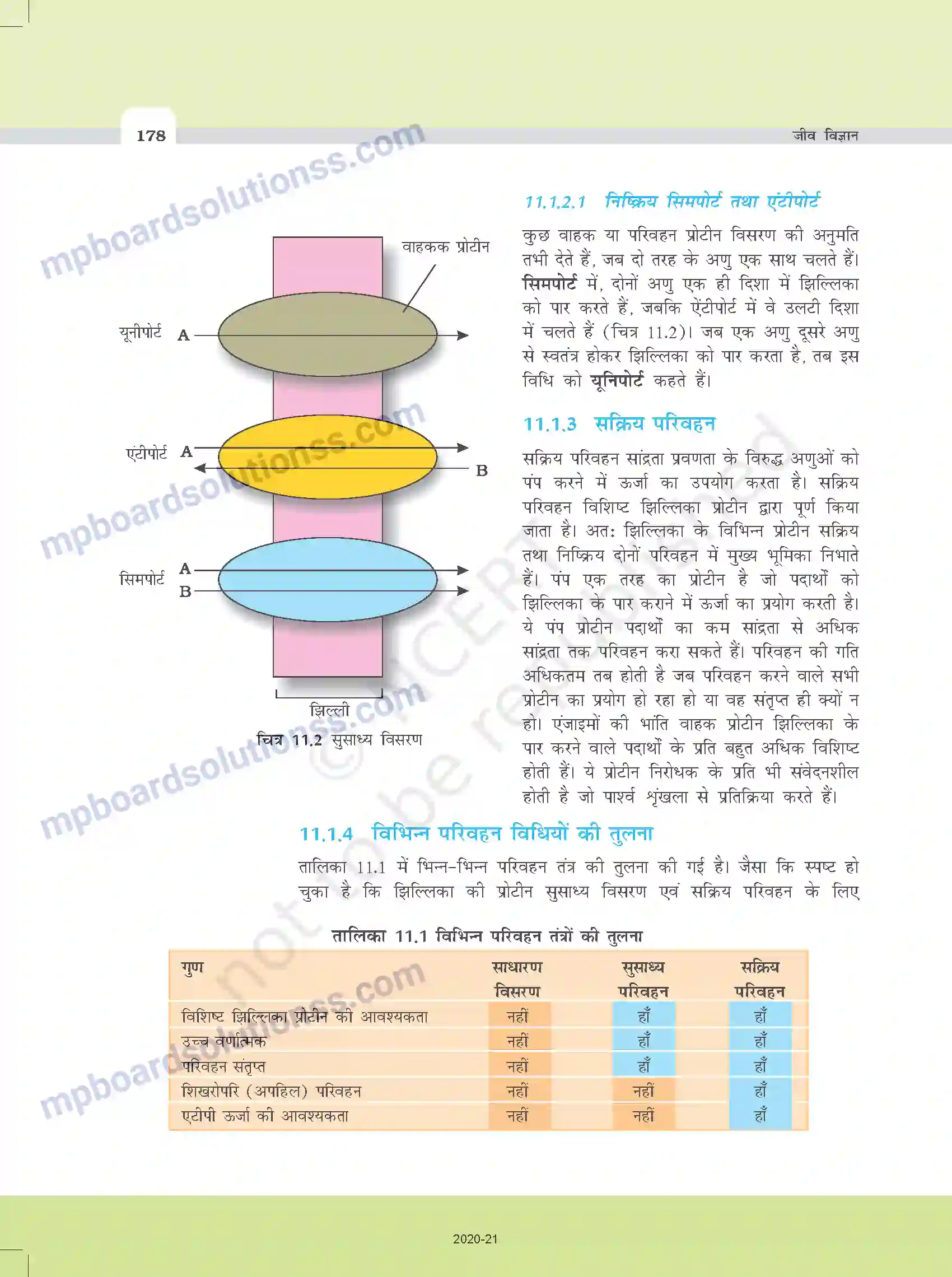 MP Board Book for Class 11 Biology पौधों में परिवहन Image 6