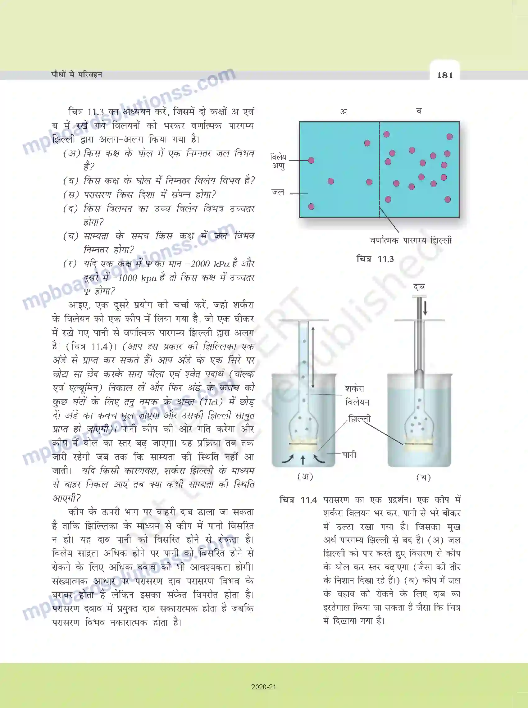 MP Board Book for Class 11 Biology पौधों में परिवहन Image 9