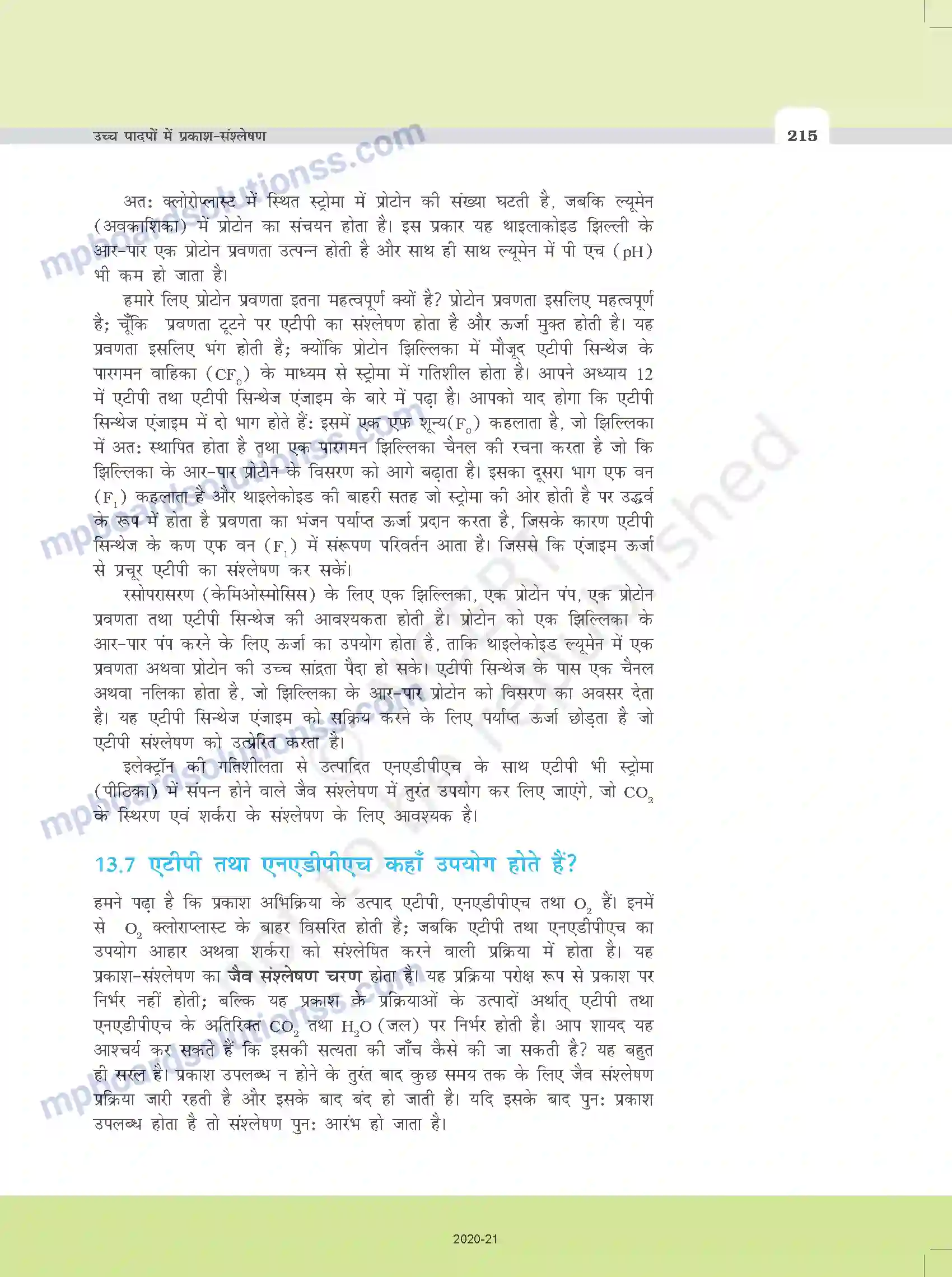 MP Board Book for Class 11 Biology उच्च पादपों में प्रकाश-संश्लेषण Image 10