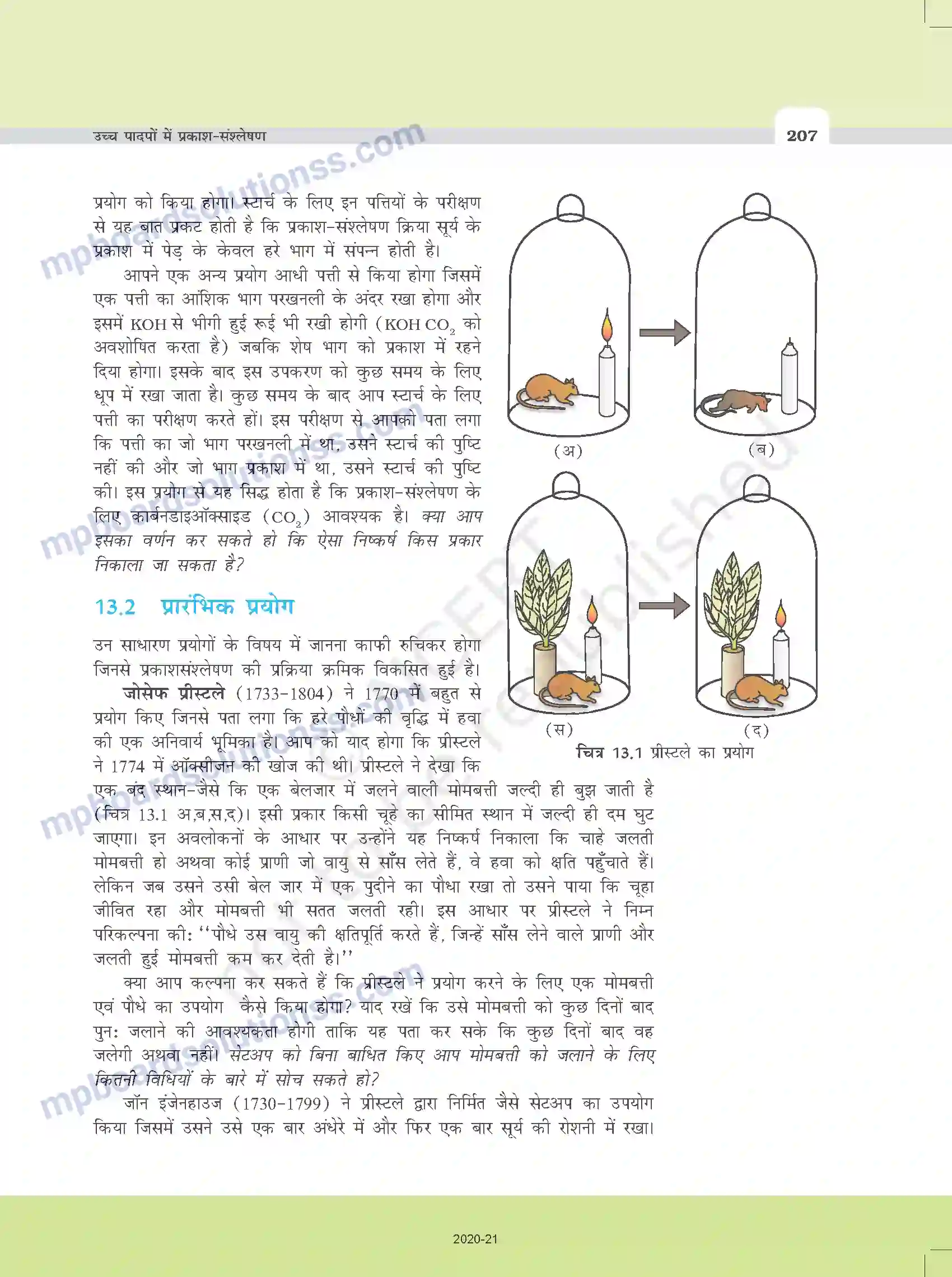 MP Board Book for Class 11 Biology उच्च पादपों में प्रकाश-संश्लेषण Image 2