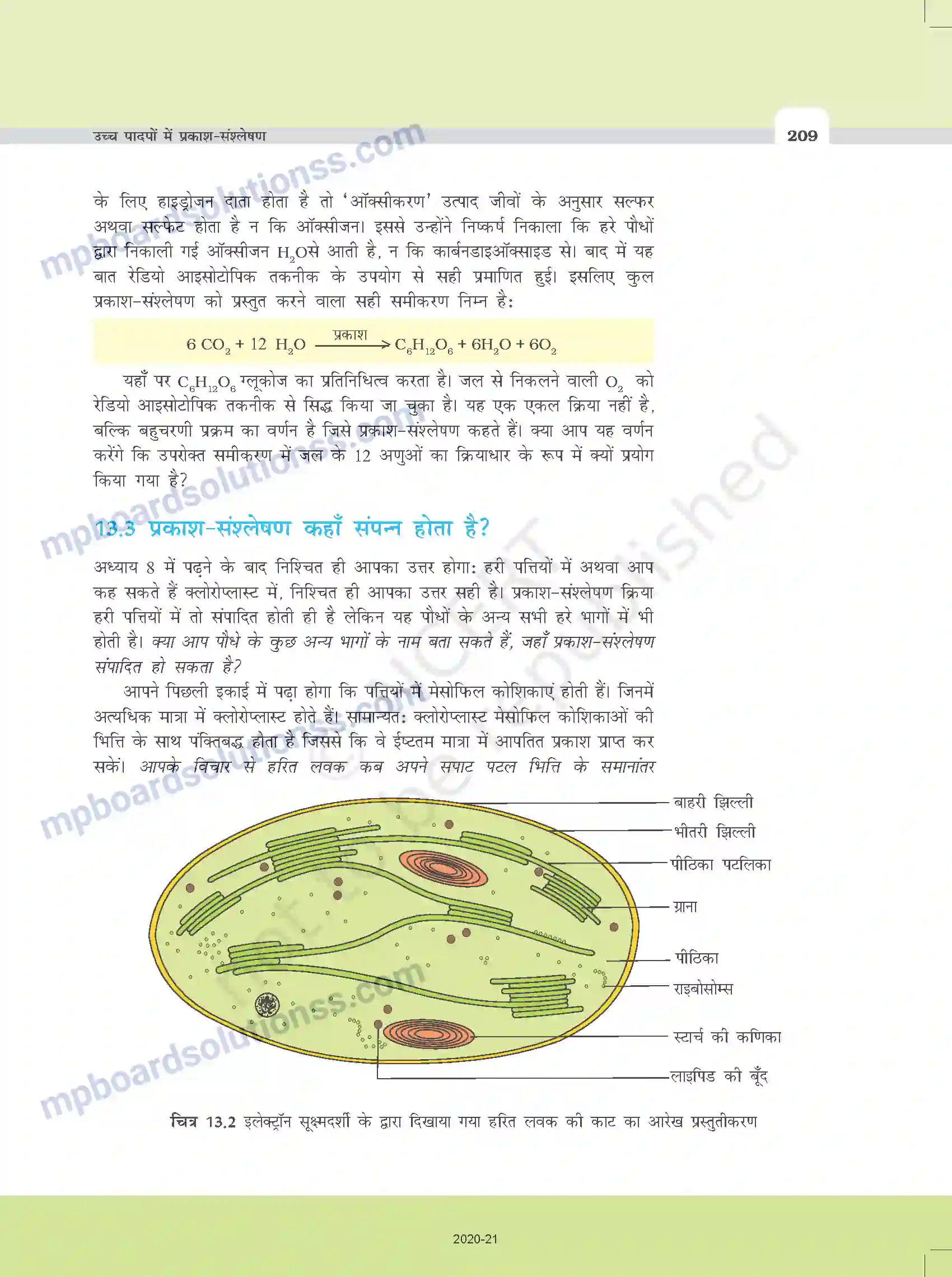 MP Board Book for Class 11 Biology उच्च पादपों में प्रकाश-संश्लेषण Image 4
