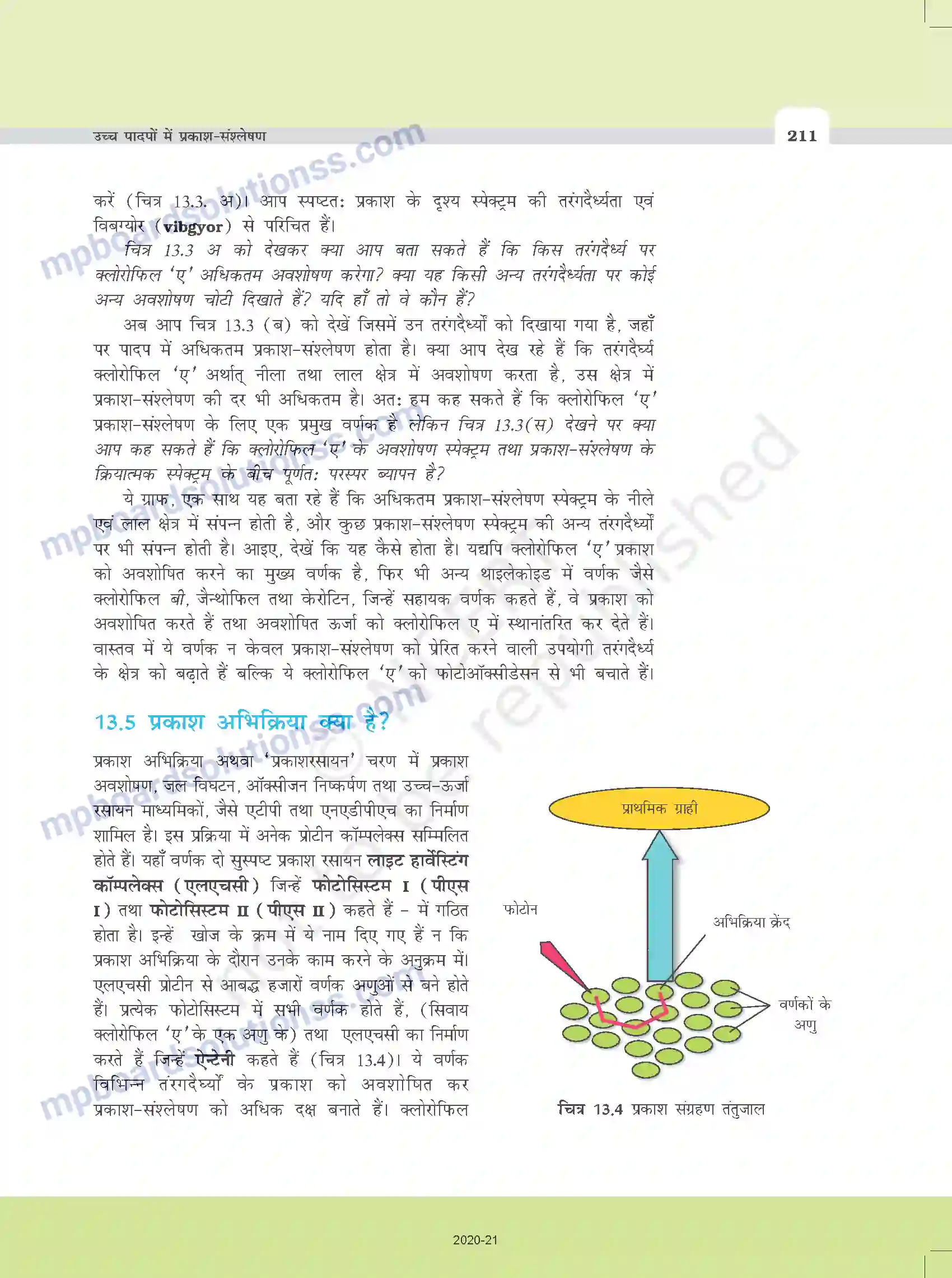 MP Board Book for Class 11 Biology उच्च पादपों में प्रकाश-संश्लेषण Image 6