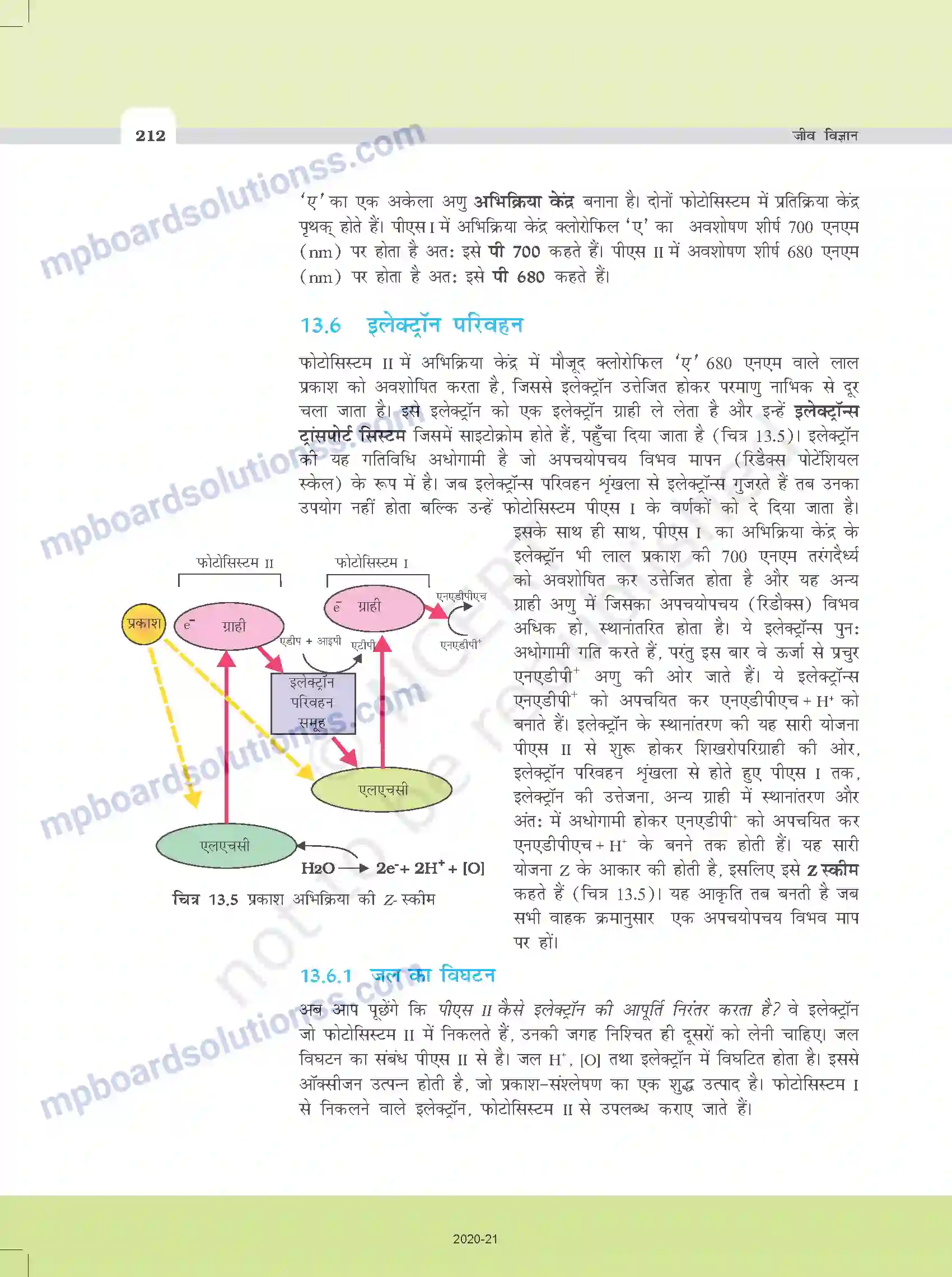 MP Board Book for Class 11 Biology उच्च पादपों में प्रकाश-संश्लेषण Image 7