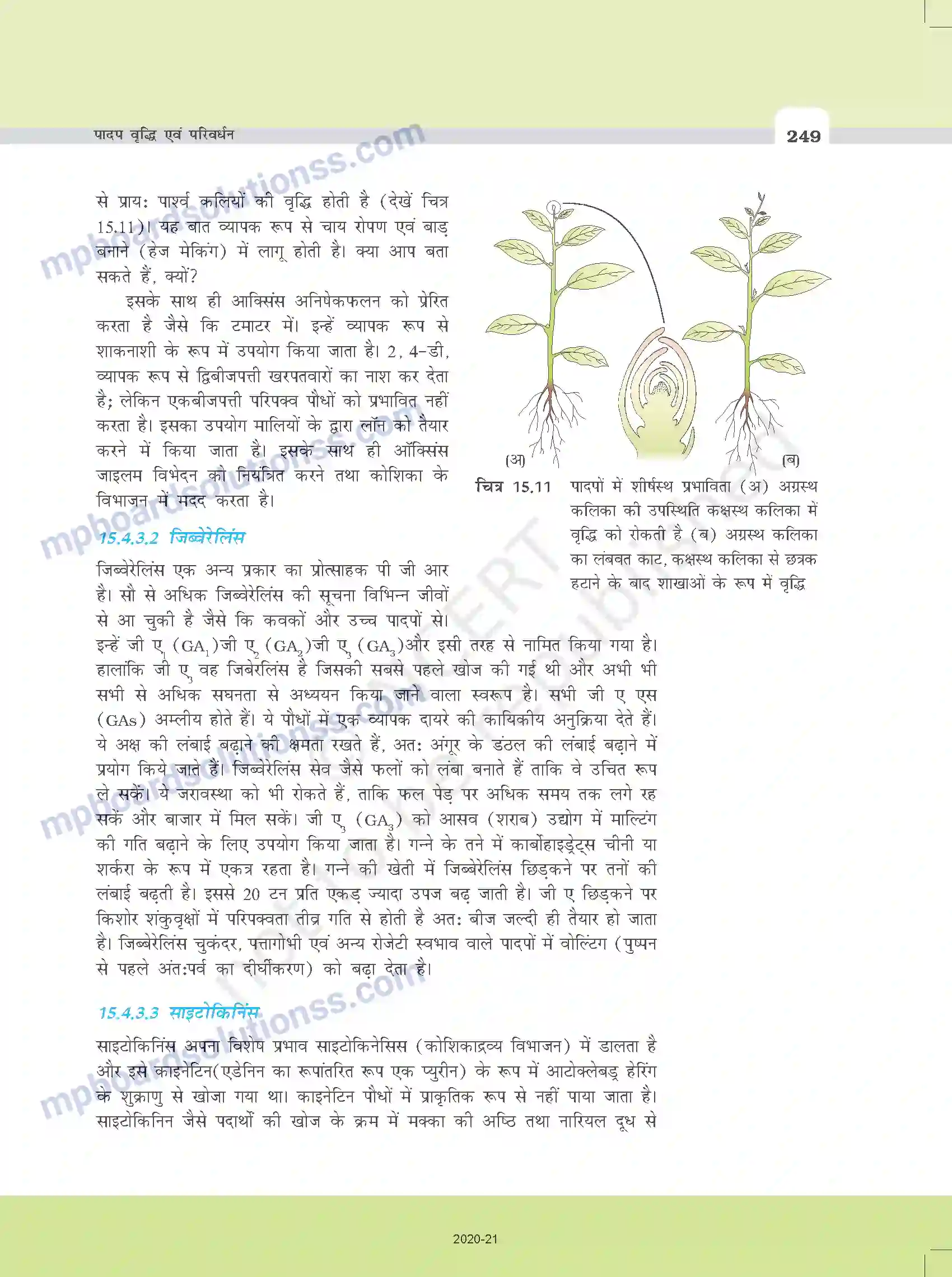 MP Board Book for Class 11 Biology पादप वृद्धि एवं परिवर्धन Image 11