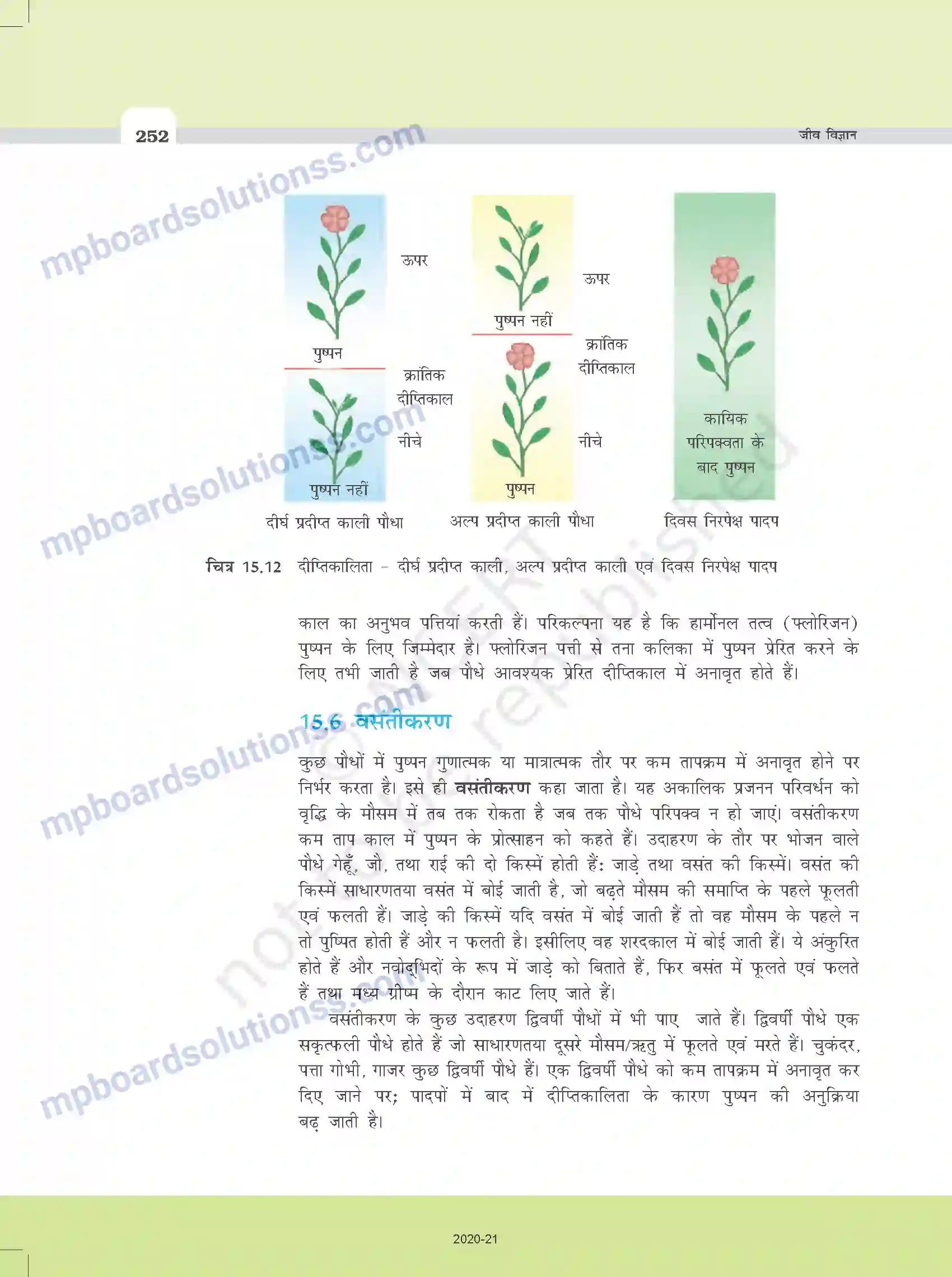 MP Board Book for Class 11 Biology पादप वृद्धि एवं परिवर्धन Image 14