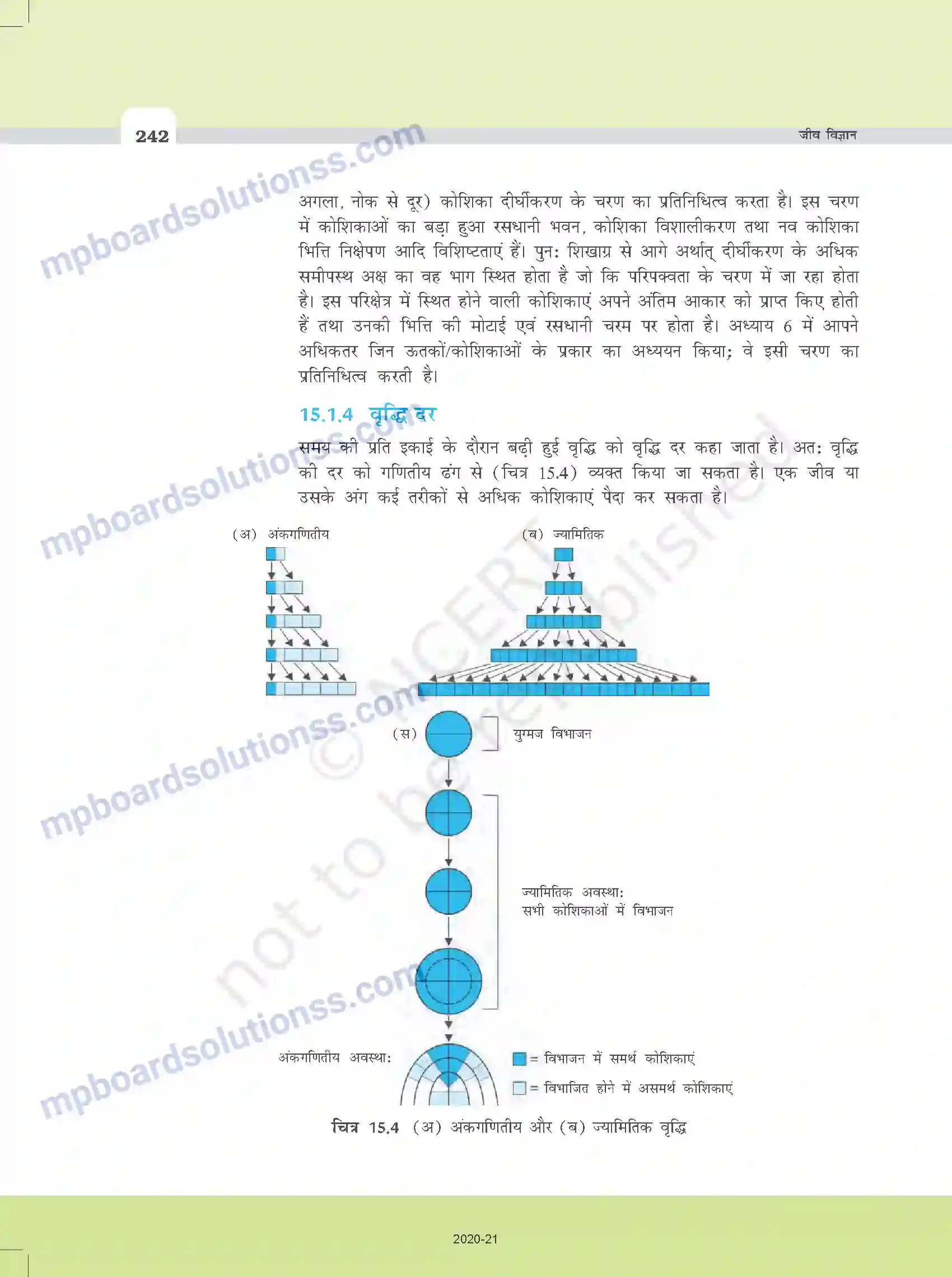 MP Board Book for Class 11 Biology पादप वृद्धि एवं परिवर्धन Image 4