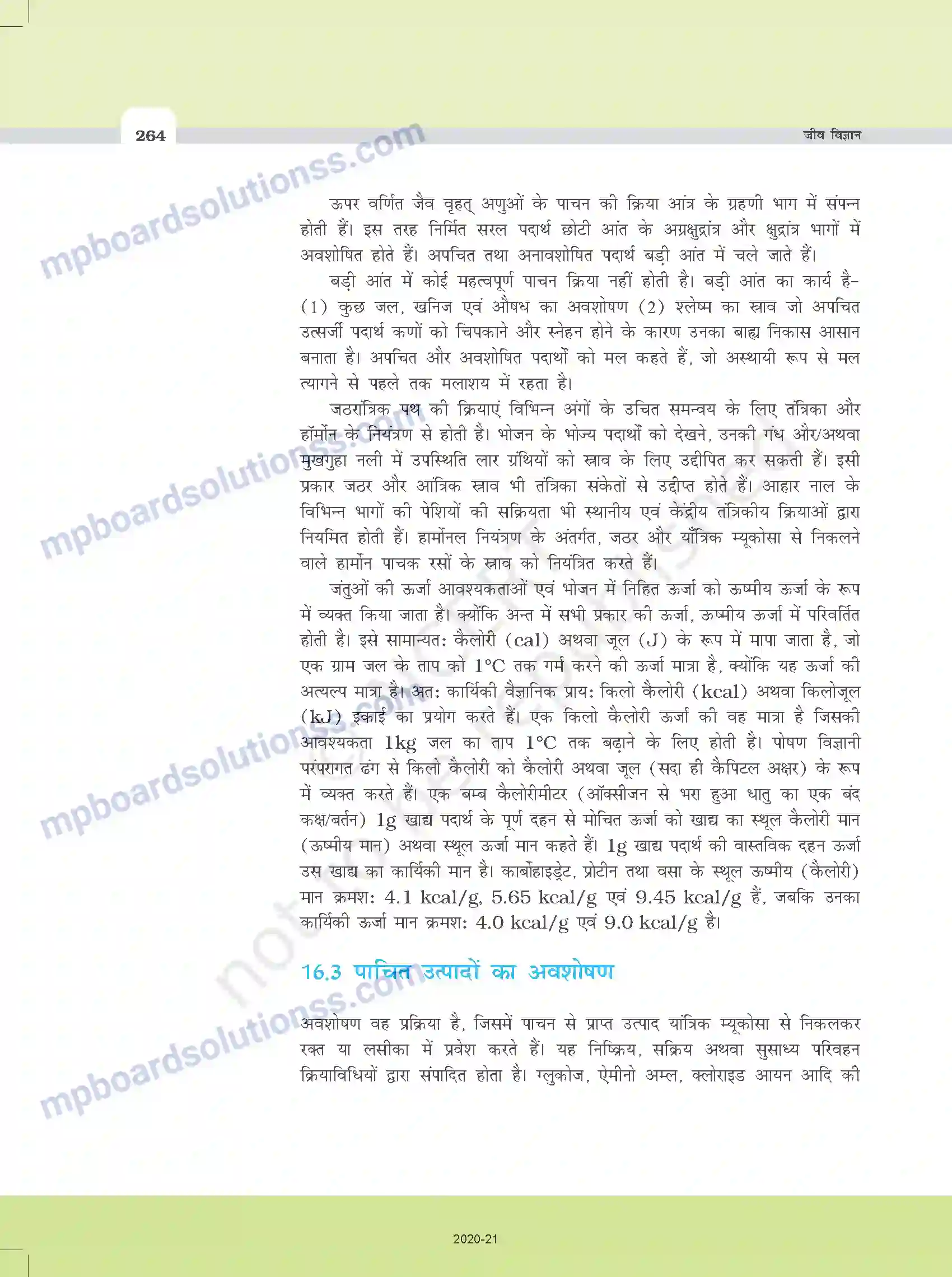 MP Board Book for Class 11 Biology पाचन एवं अवशोषण Image 10