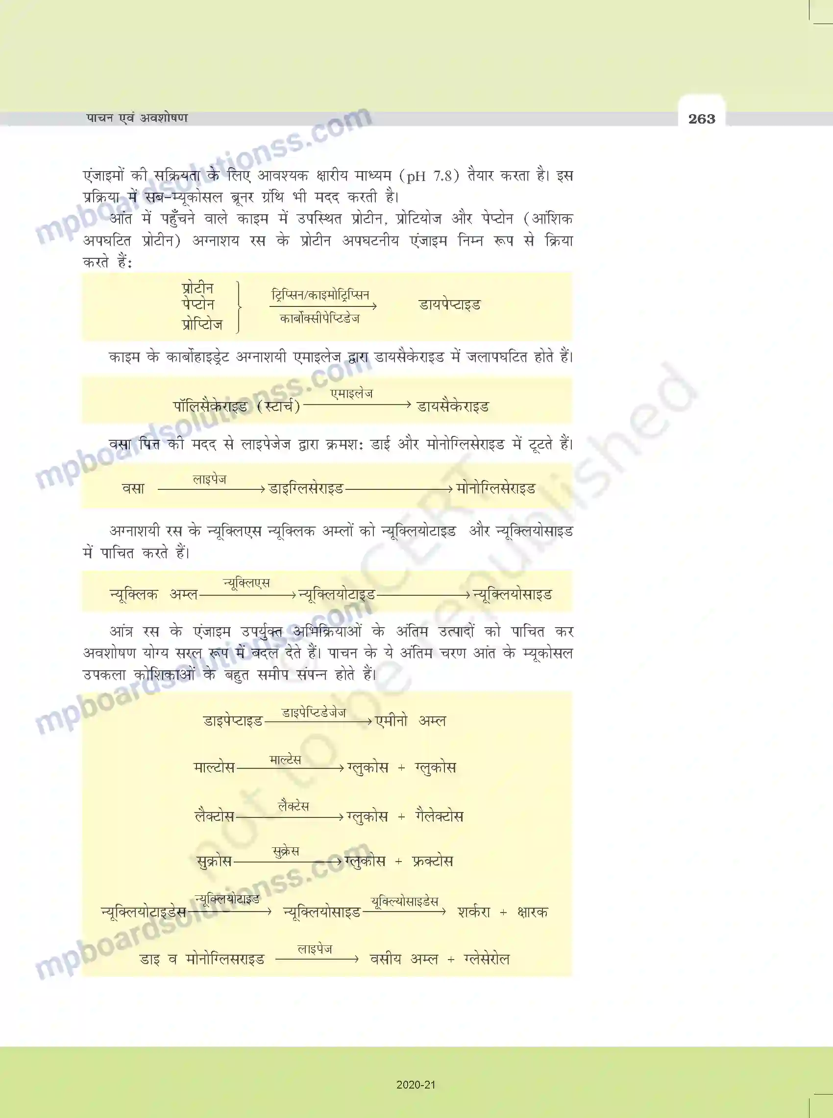 MP Board Book for Class 11 Biology पाचन एवं अवशोषण Image 9