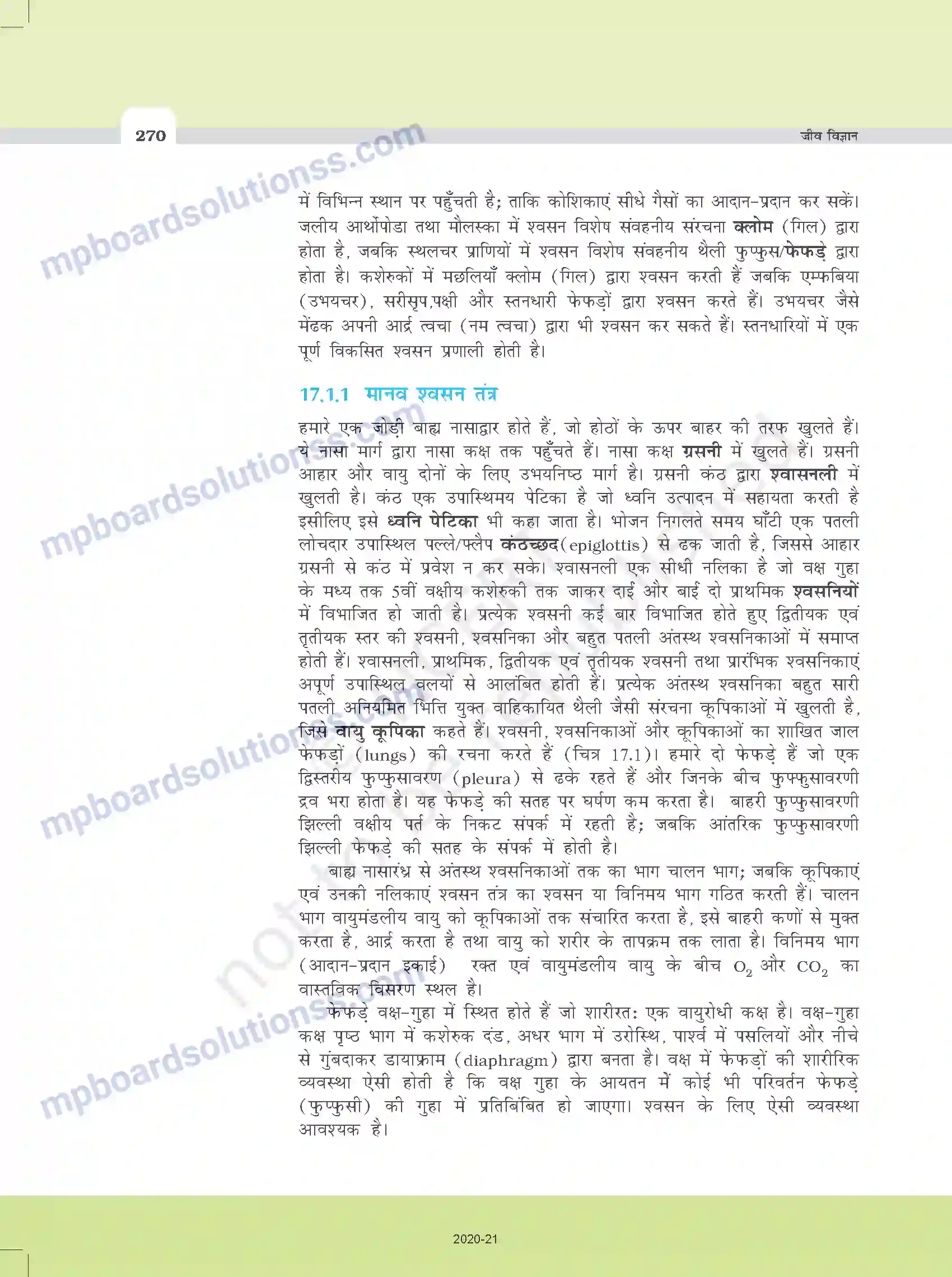 MP Board Book for Class 11 Biology श्वसन और गैसों का विनिमय Image 2