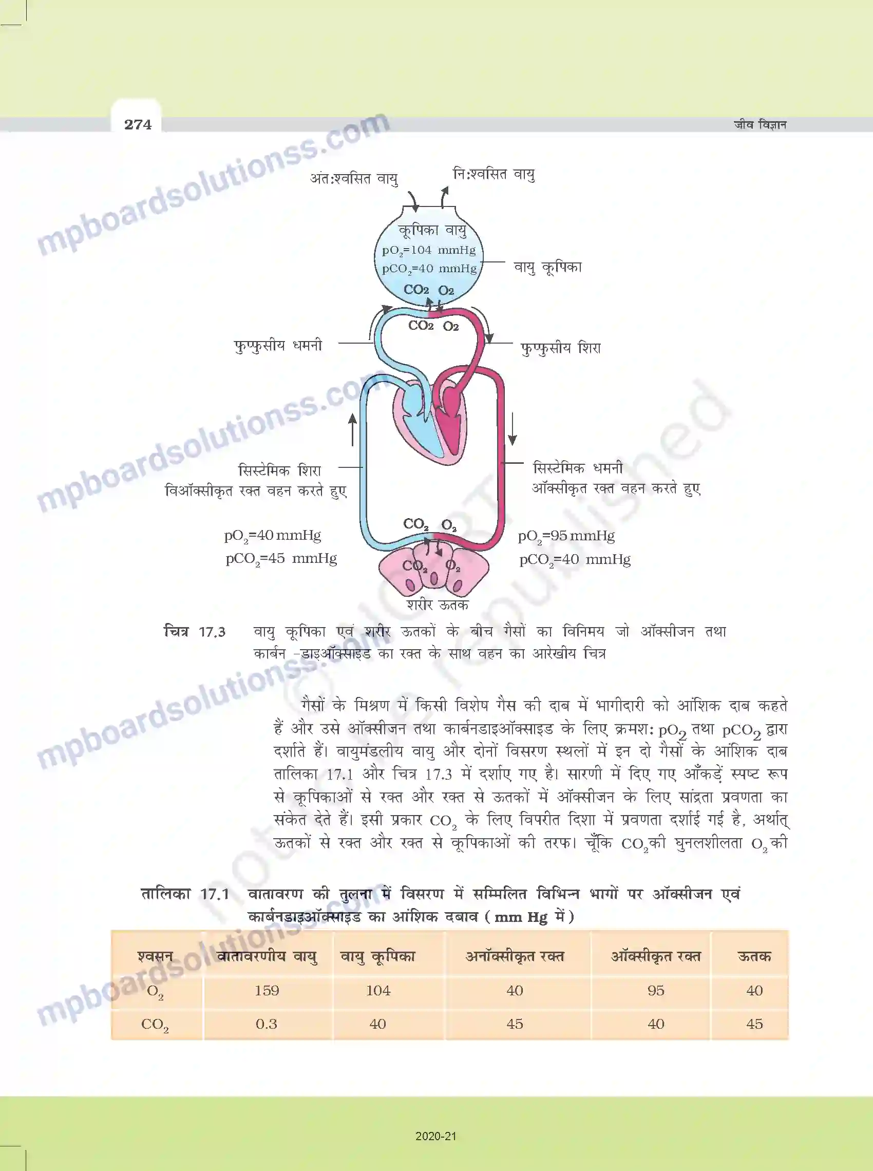 MP Board Book for Class 11 Biology श्वसन और गैसों का विनिमय Image 6