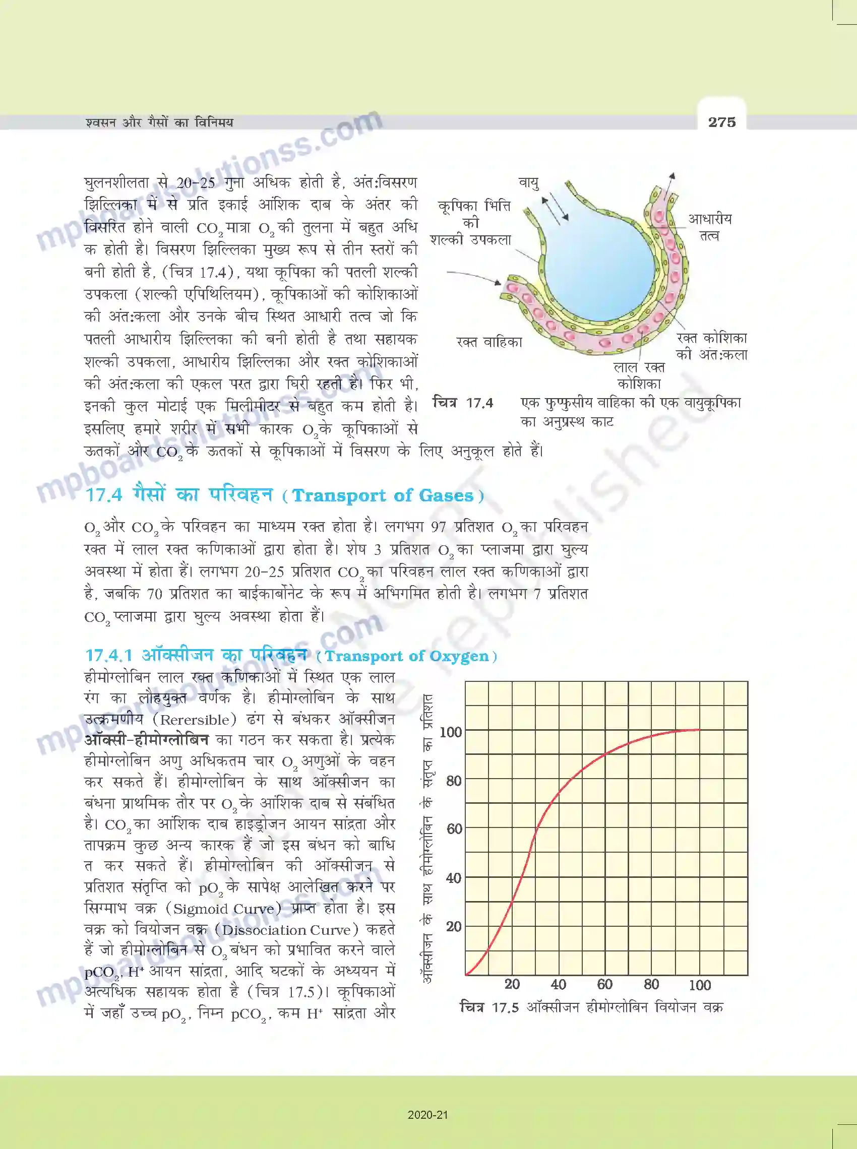 MP Board Book for Class 11 Biology श्वसन और गैसों का विनिमय Image 7