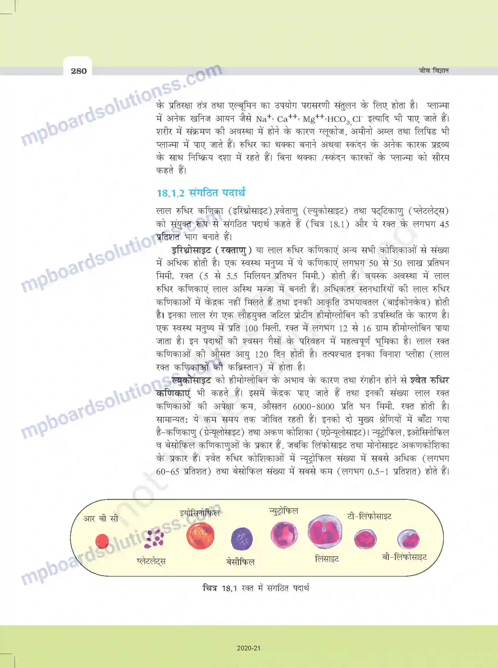 MP Board Book for Class 11 Biology शरीर द्रव तथा परिसंचरण Image 2