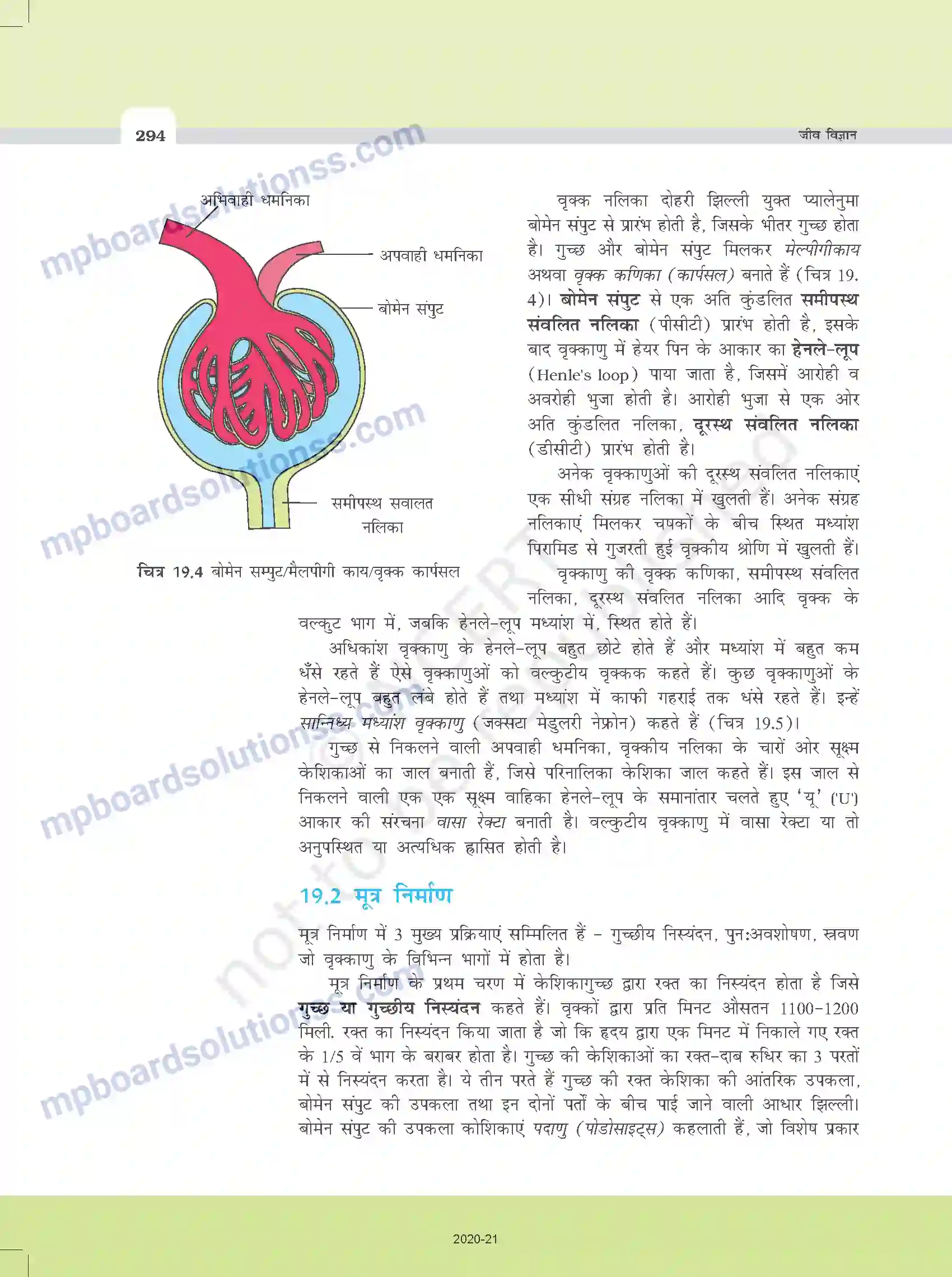MP Board Book for Class 11 Biology उत्सर्जी उत्पाद एवं उनका निष्कासन Image 4