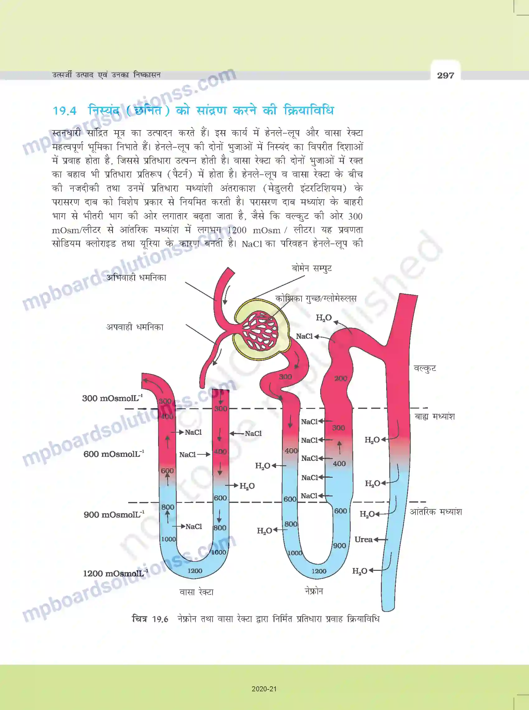 MP Board Book for Class 11 Biology उत्सर्जी उत्पाद एवं उनका निष्कासन Image 7