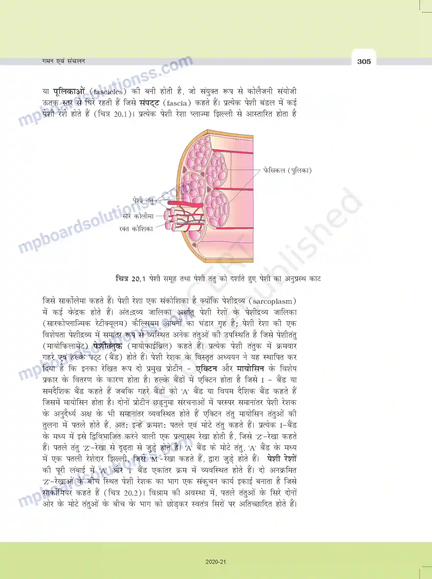MP Board Book for Class 11 Biology गमन एवं संचलन Image 3
