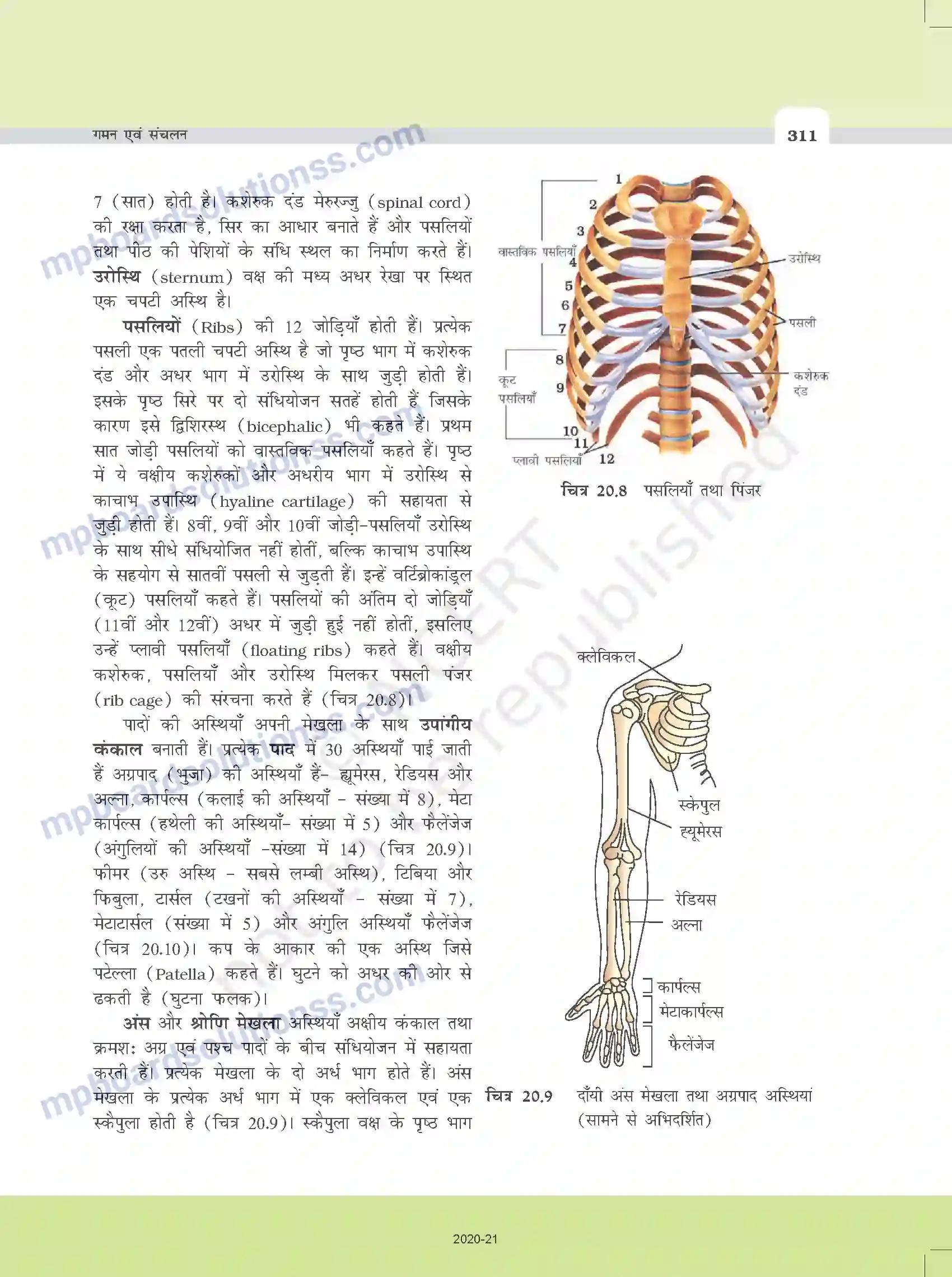 MP Board Book for Class 11 Biology गमन एवं संचलन Image 9