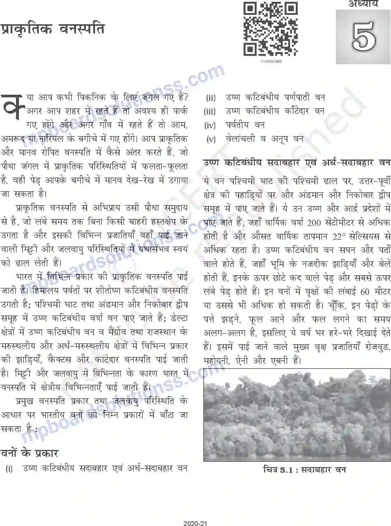MP Board Book for Class 11 Geography प्राकृतिक वनस्पति Image 1