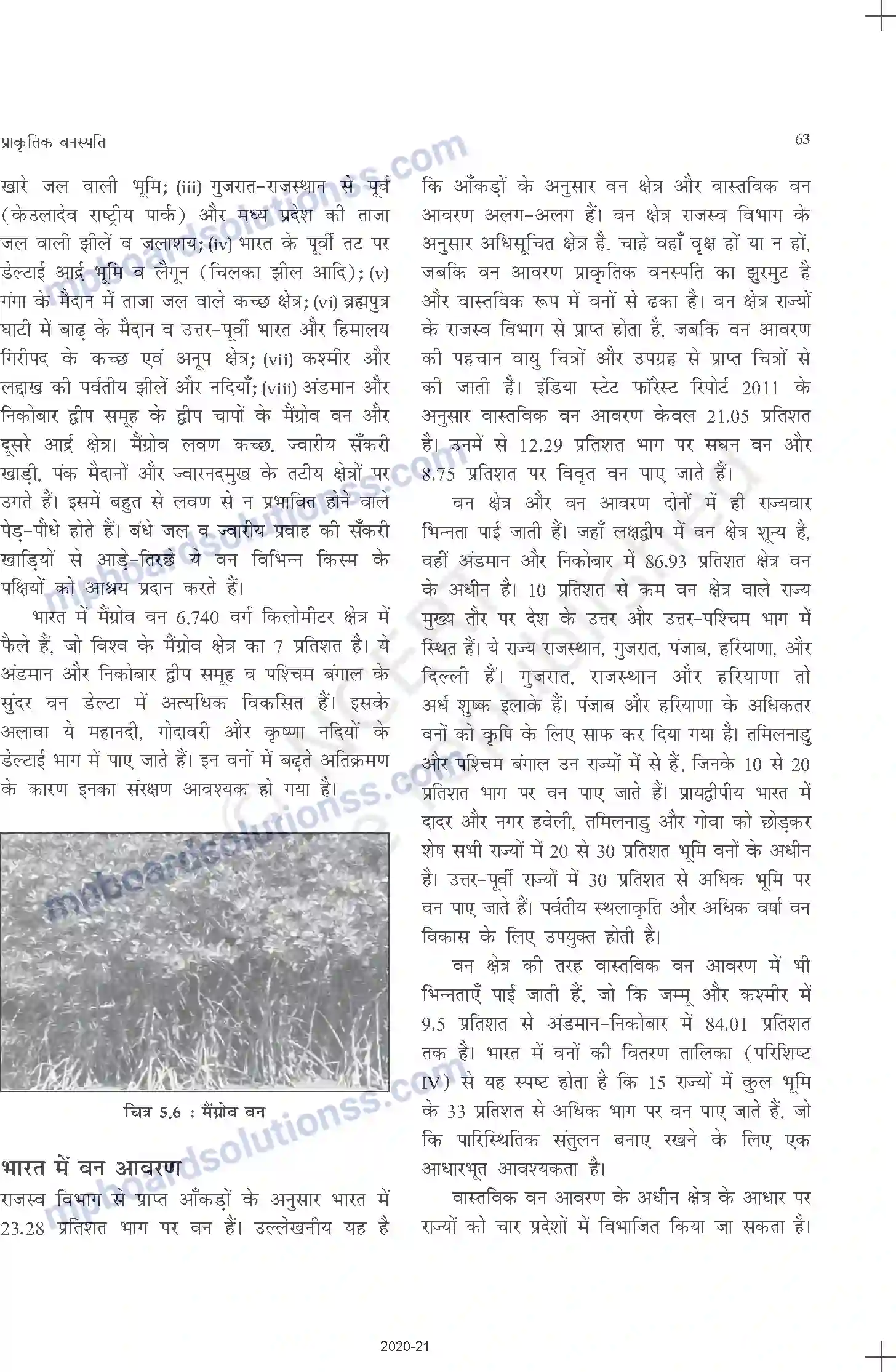 MP Board Book for Class 11 Geography प्राकृतिक वनस्पति Image 5